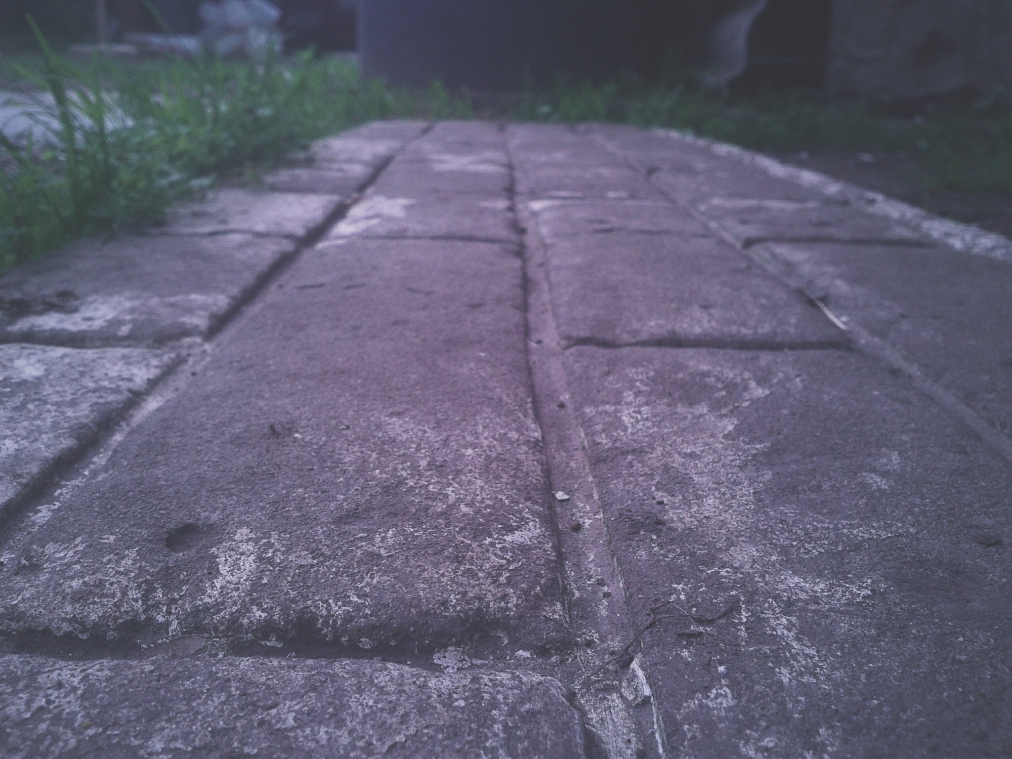 Samsung Galaxy S Advance sample photo. The walk is dark photography