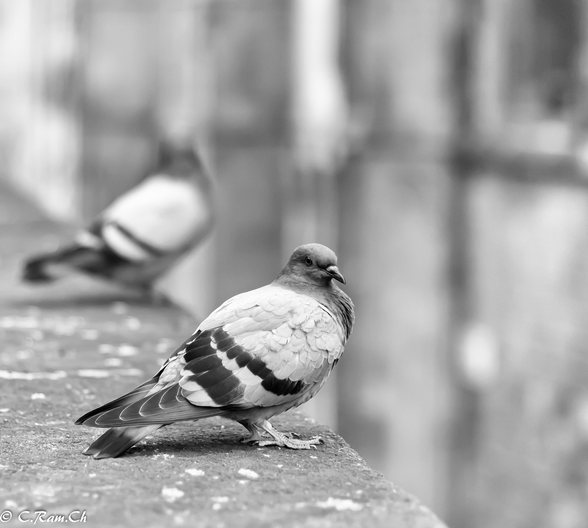Canon EOS 760D (EOS Rebel T6s / EOS 8000D) + Canon EF 50mm F1.4 USM sample photo. Parece un reflejo  photography