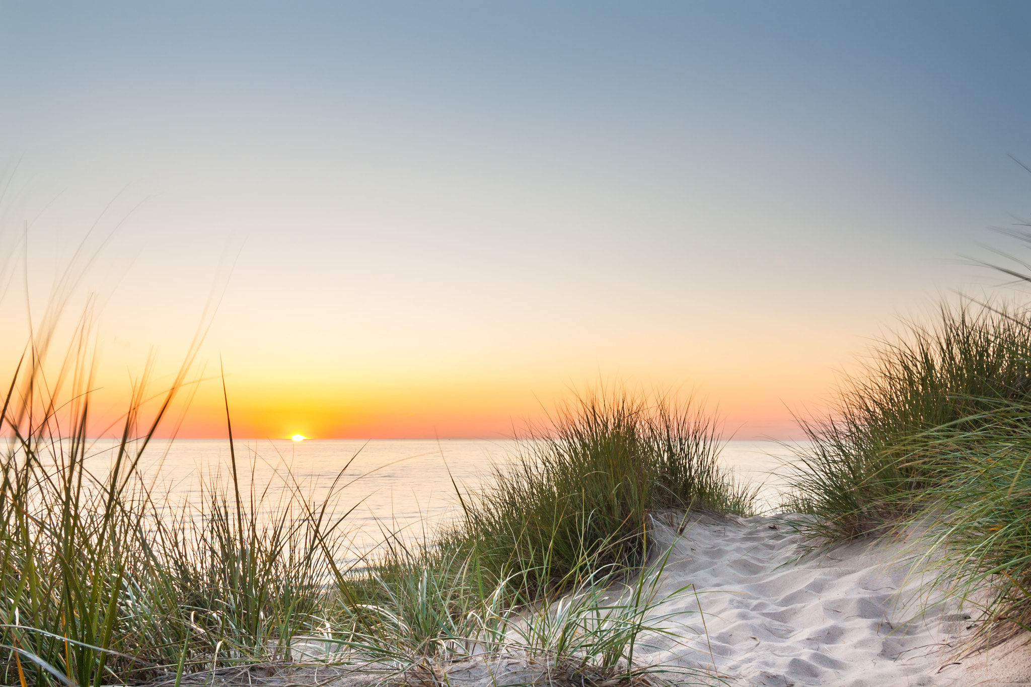 Sigma 18-125mm F3.8-5.6 DC OS HSM sample photo. Dune grass sunset photography