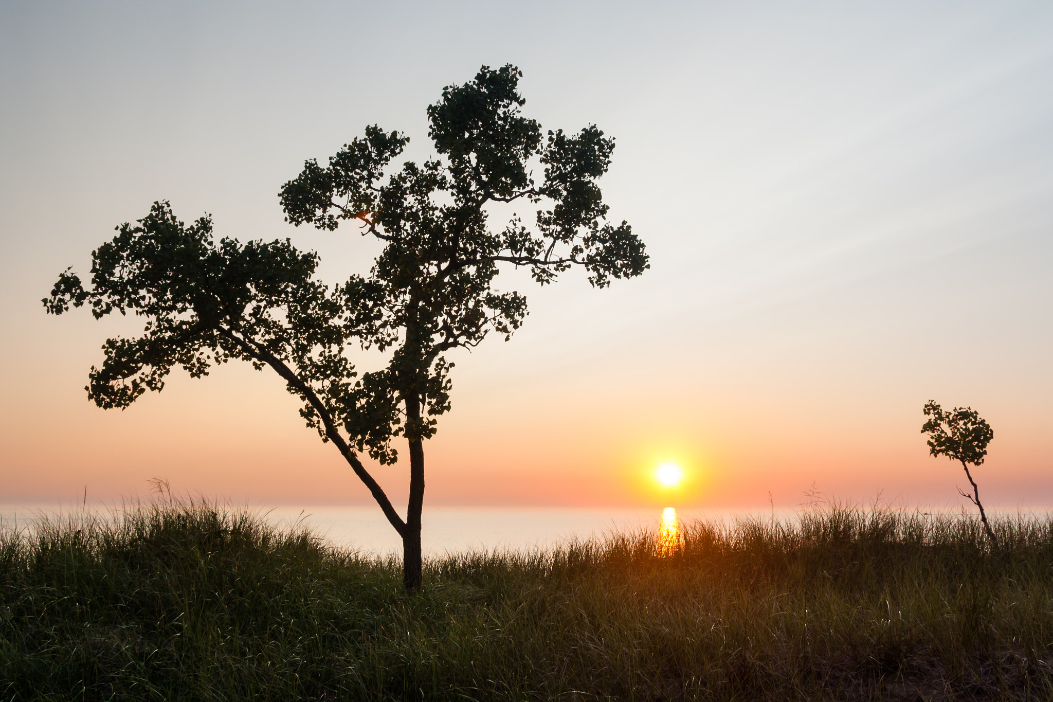 Sigma 18-125mm F3.8-5.6 DC OS HSM sample photo. Hoffmaster dunes sunset photography