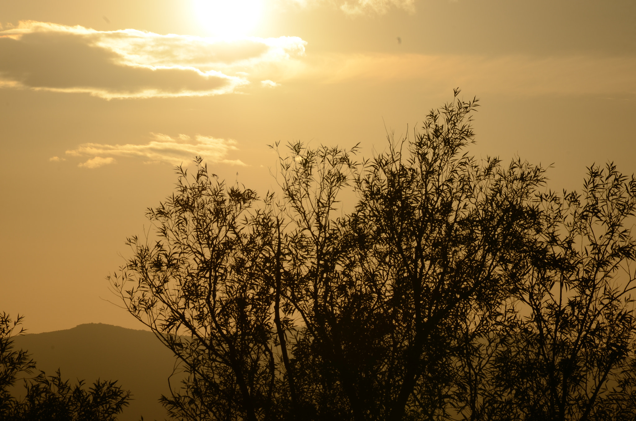 Sigma 18-200mm F3.5-6.3 II DC OS HSM sample photo. Golden sunset photography