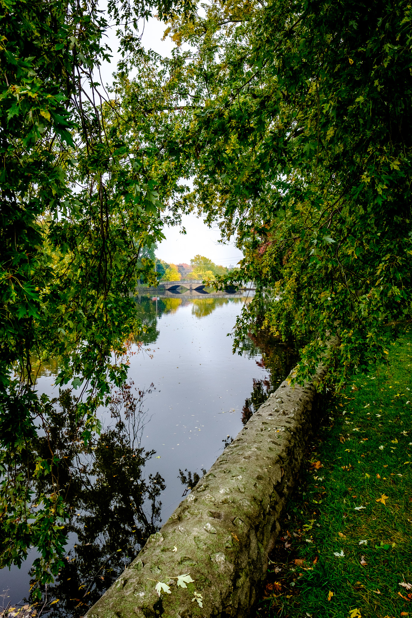 Fujifilm X-T10 + Fujifilm XF 16mm F1.4 R WR sample photo. Fall 2016 photography