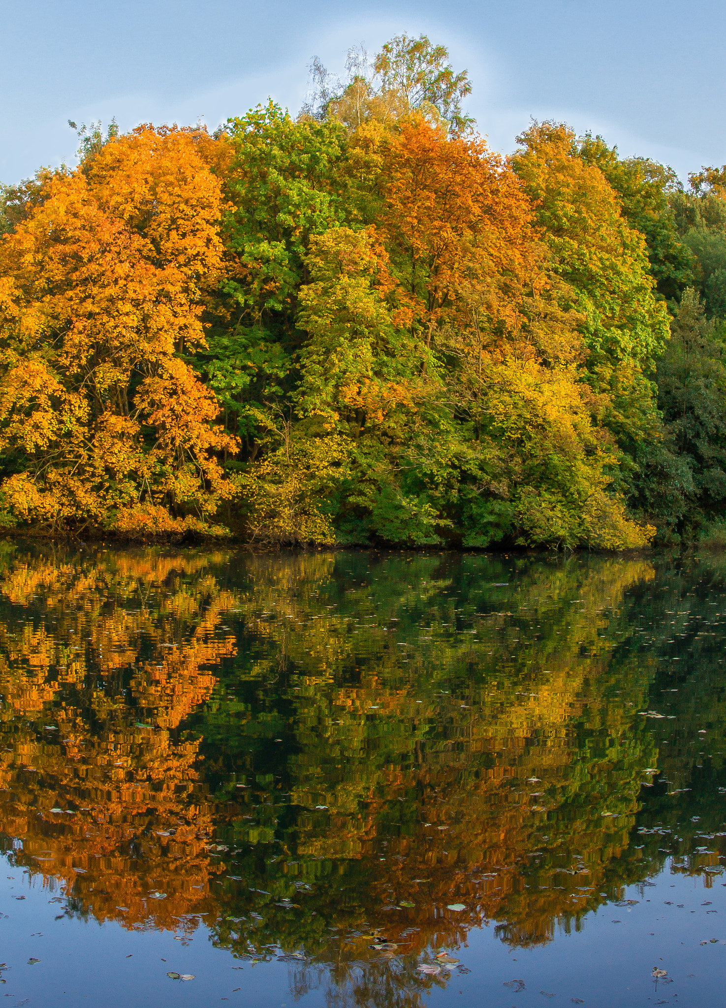 Sigma 18-35mm f/1.8 DC HSM sample photo. Fall miror photography