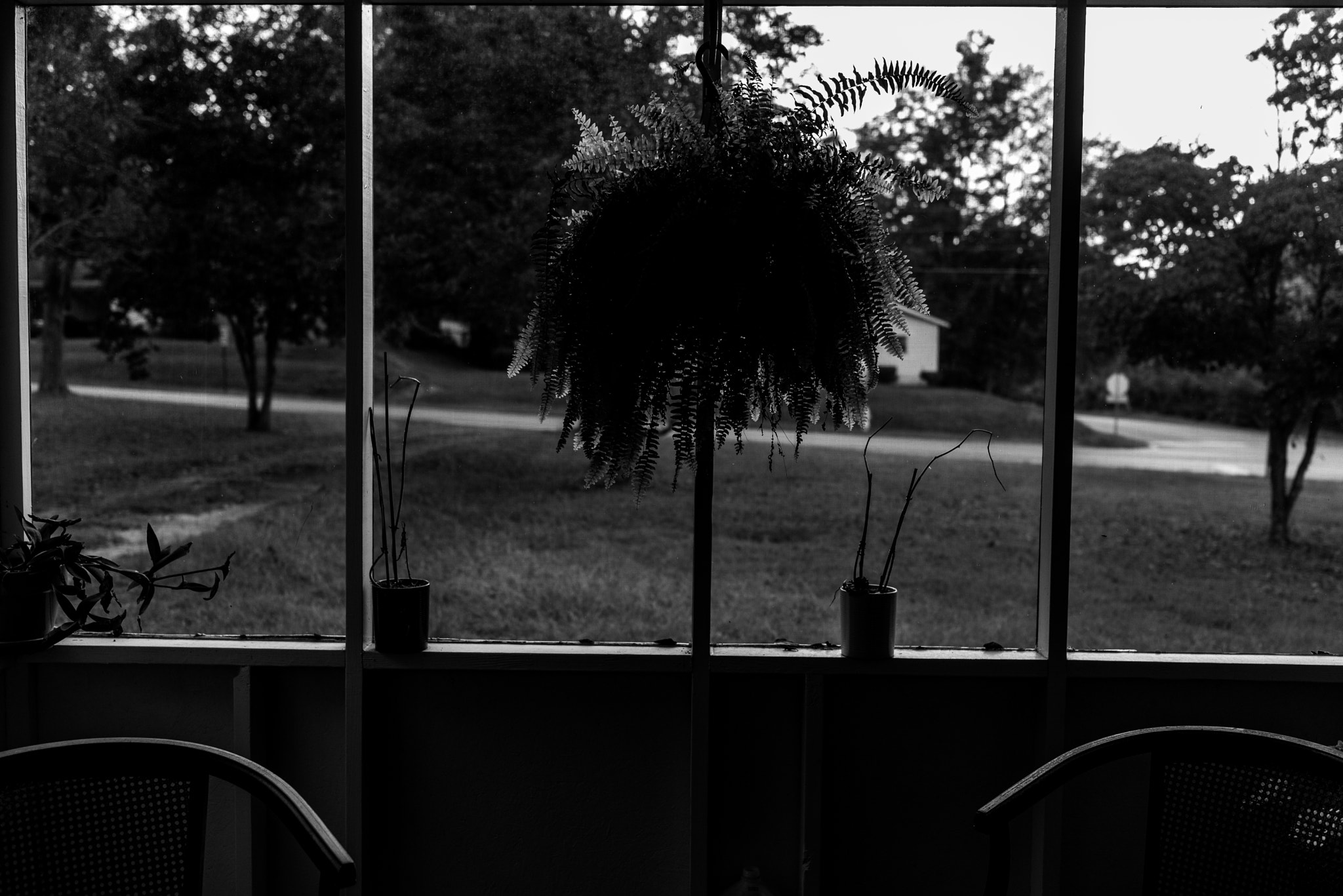 Nikon D750 + Tamron SP 35mm F1.8 Di VC USD sample photo. This quiet place photography
