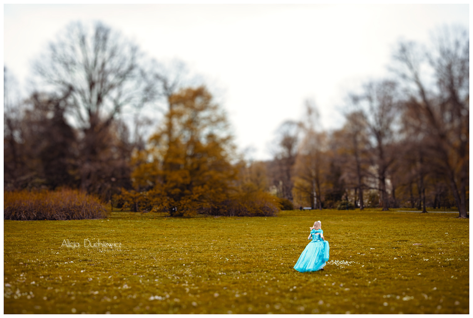 Nikon D750 + Sigma 50mm F1.4 EX DG HSM sample photo. Cinderella - maja 07 photography