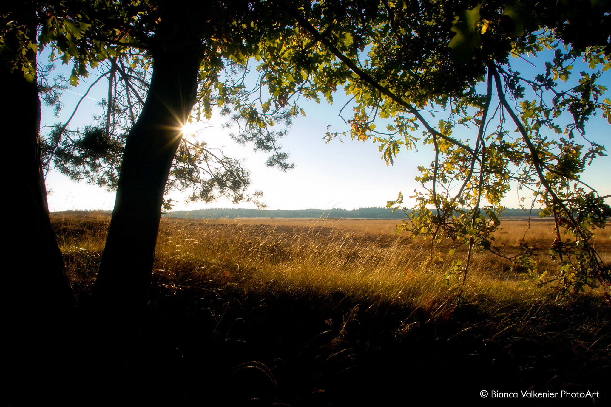 Canon EOS 7D + Canon EF 17-35mm f/2.8L sample photo. South ginkel near ede photography