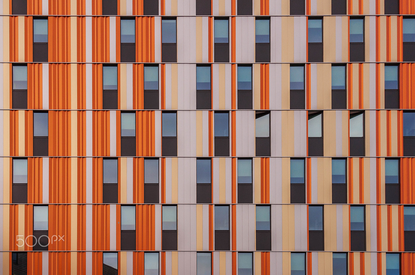 Nikon D5000 sample photo. Orange photography