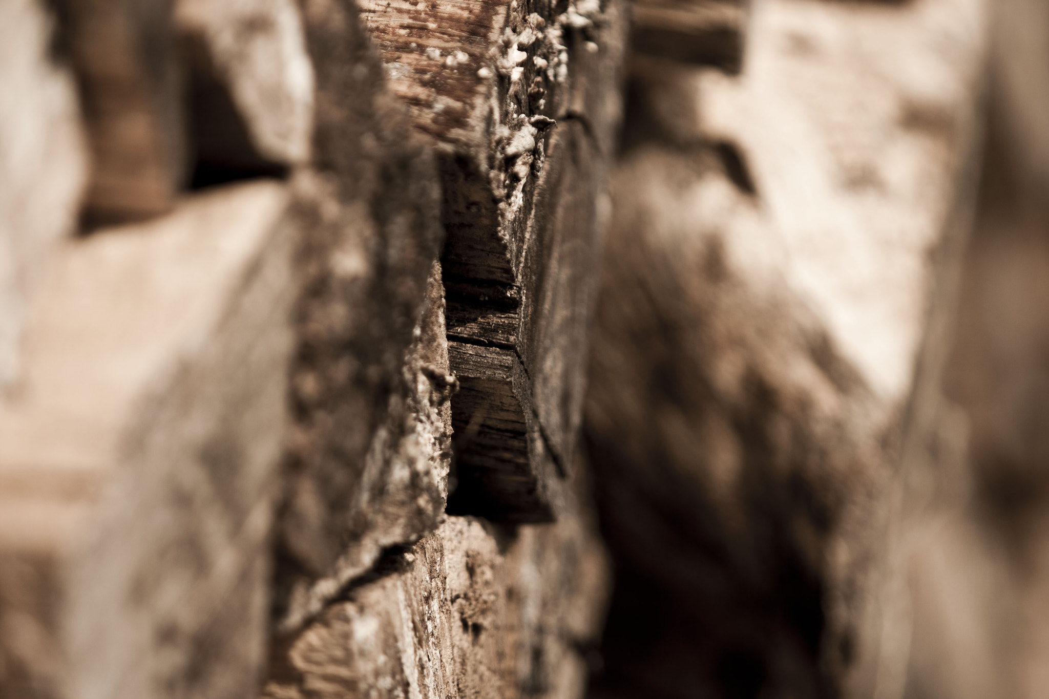 Canon EF 70-200mm F2.8L USM sample photo. Img photography