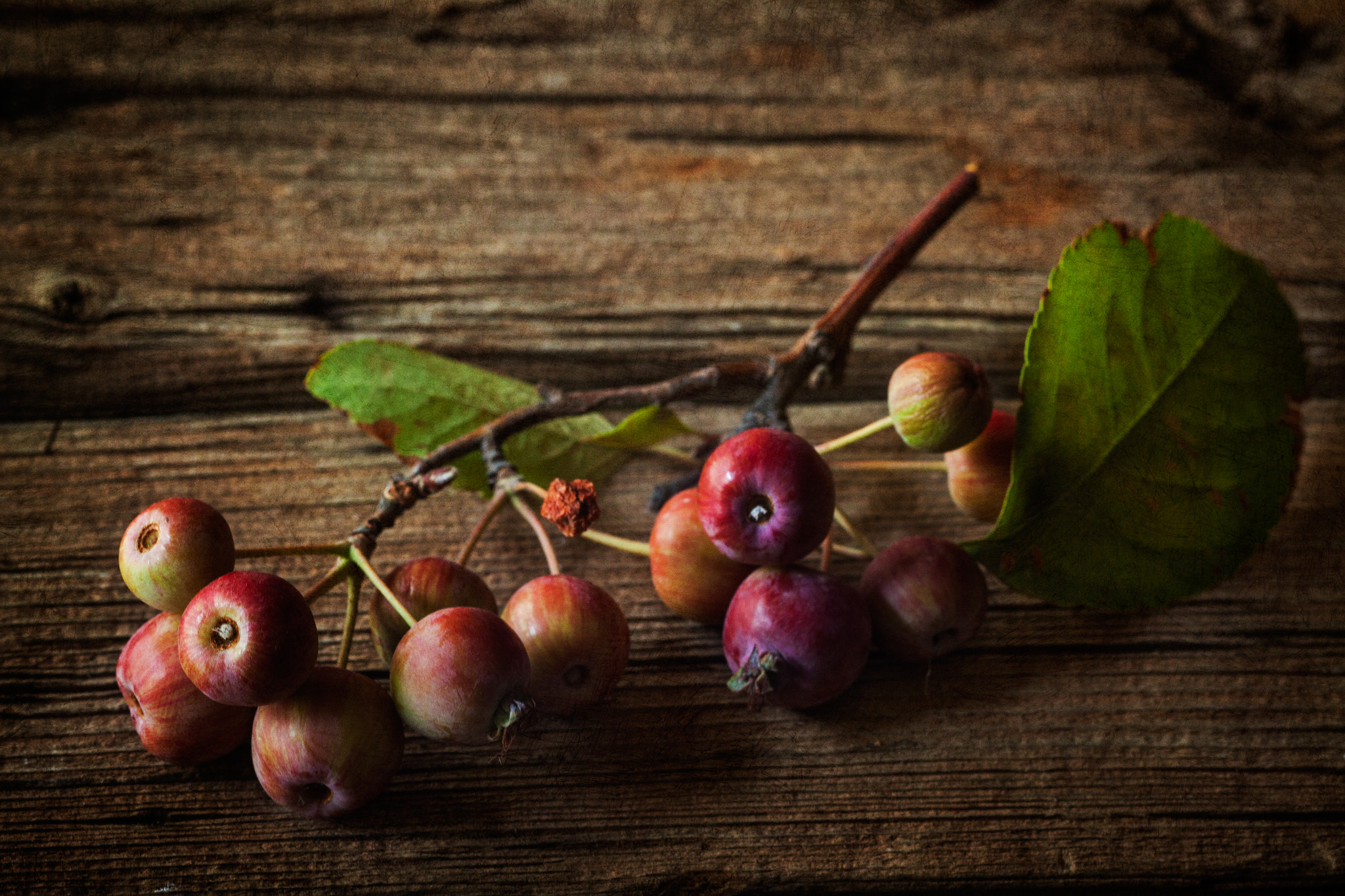 Canon EF 35-80mm f/4-5.6 sample photo. Otoño y sus colores photography
