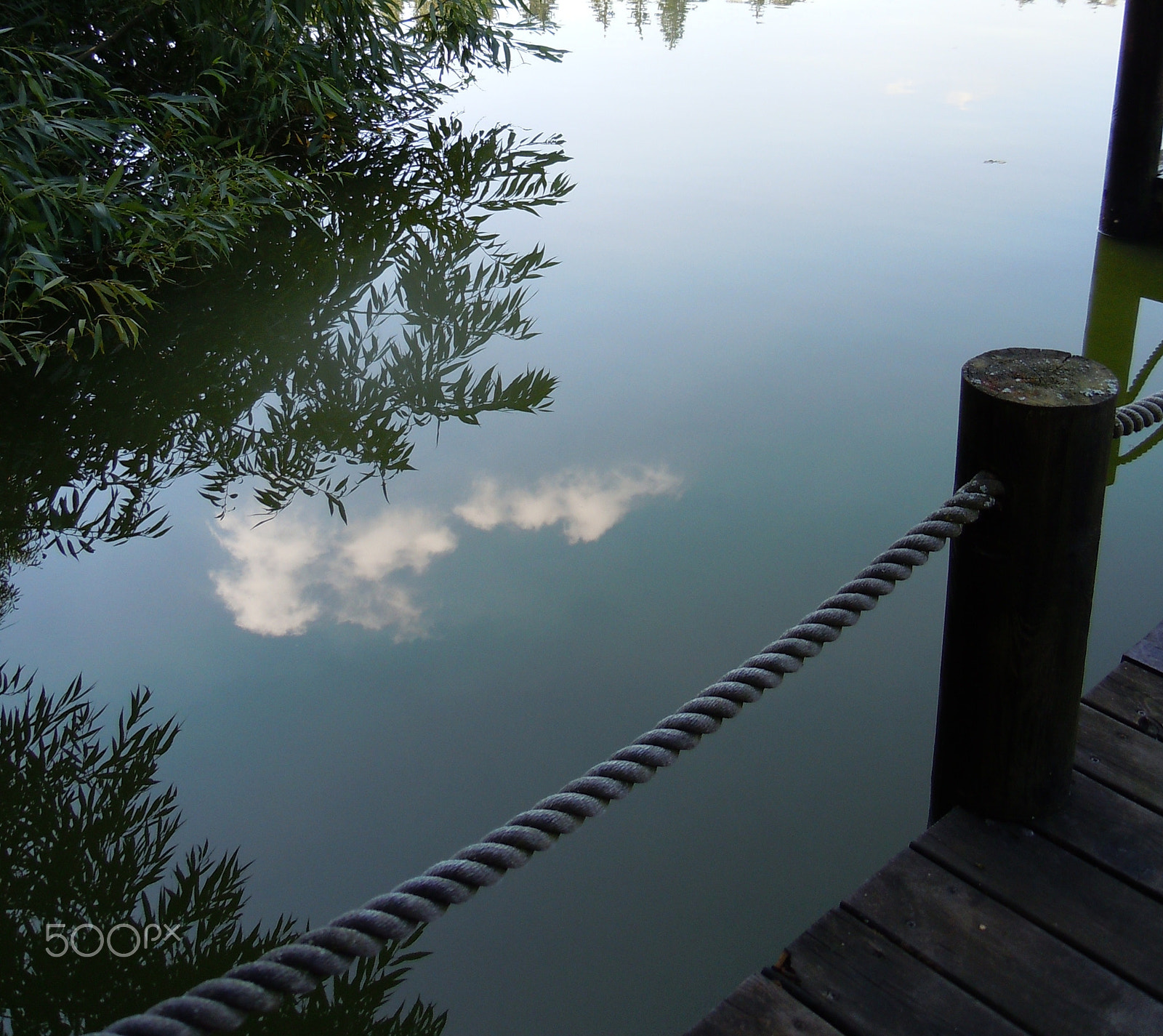 Nikon Coolpix S8000 sample photo. Bathed the clouds in the pond photography