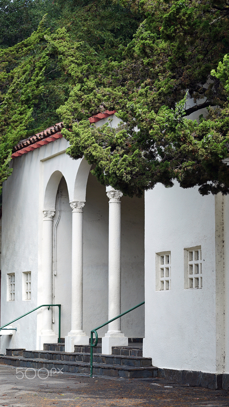 Sony a7S II + Sony FE 70-200mm F4 G OSS sample photo. California charm photography