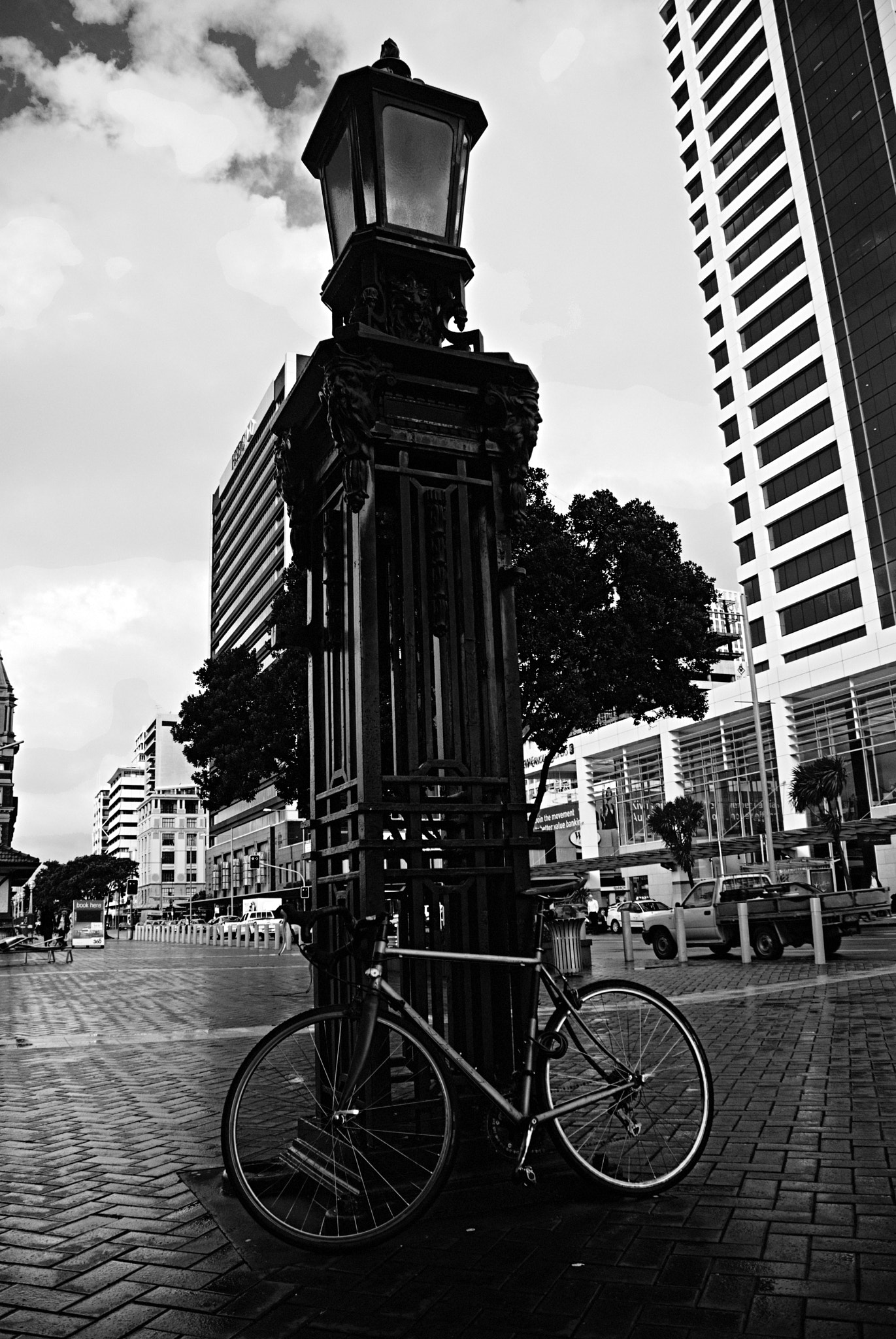 Nikon D80 sample photo. Auckland photography