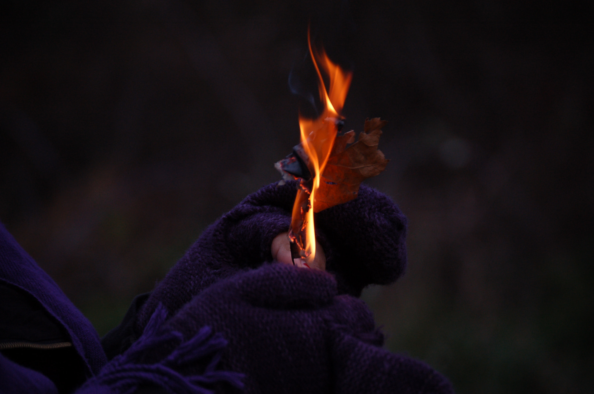 Nikon D50 sample photo. Nature on fire photography