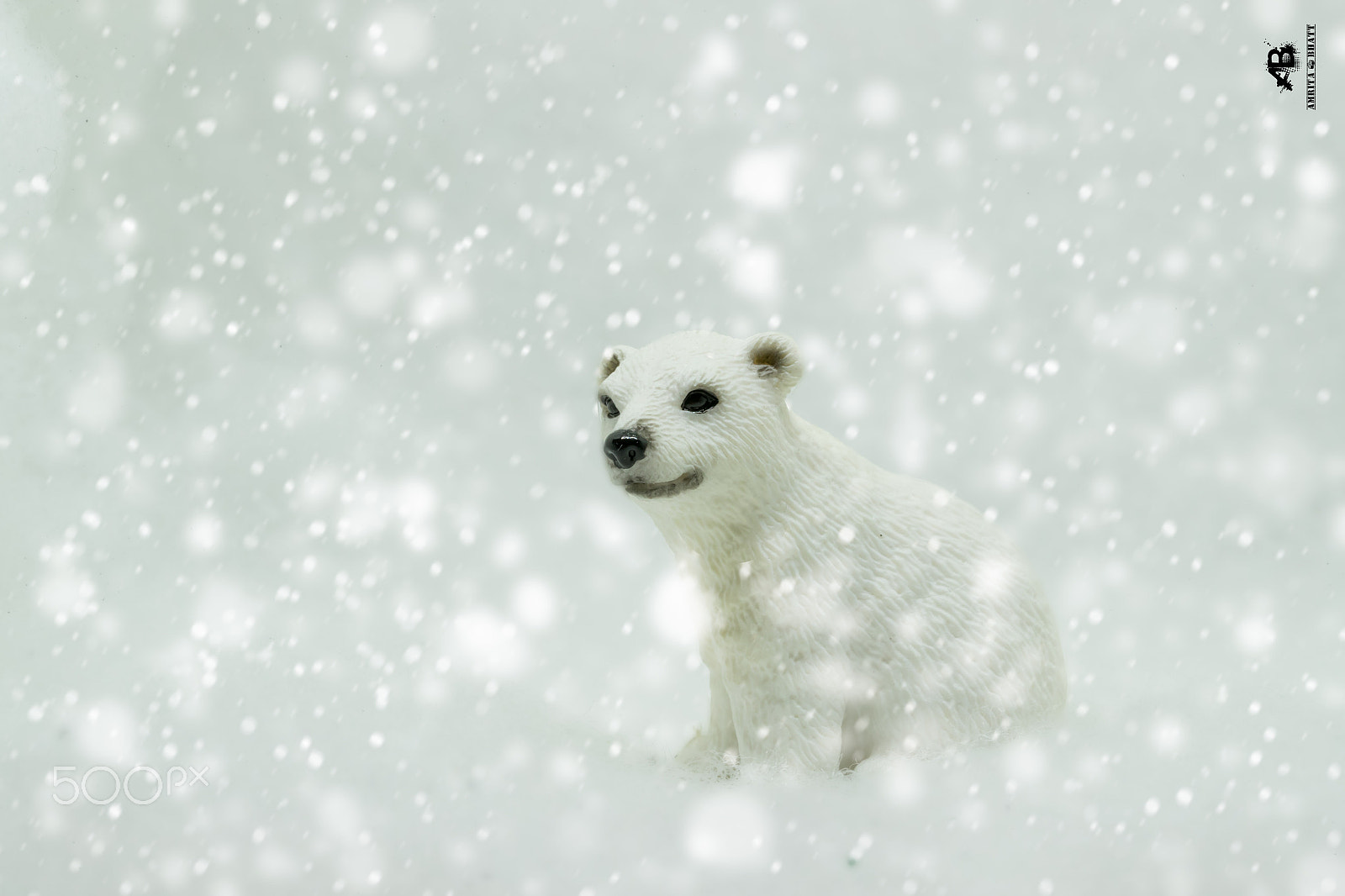Canon EF 100mm F2.8L Macro IS USM sample photo. Polar bear! photography