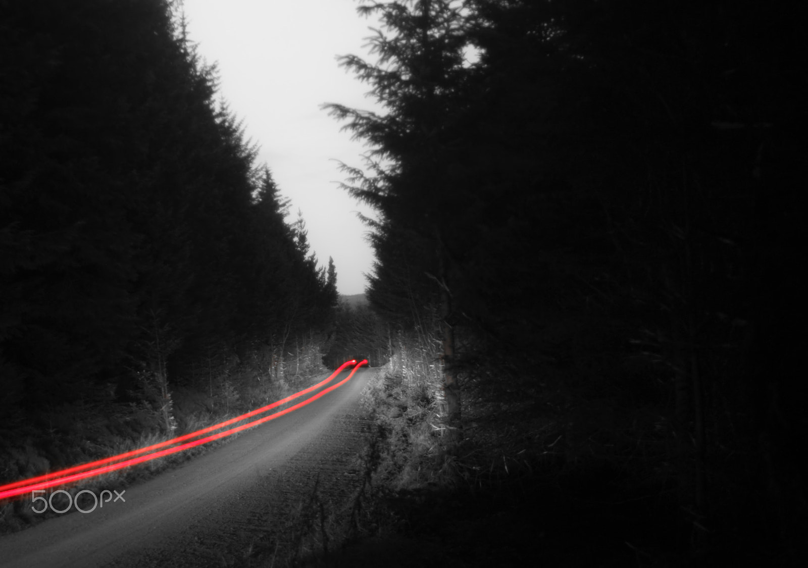 Canon EF 28-80mm f/3.5-5.6 sample photo. Night rally photography