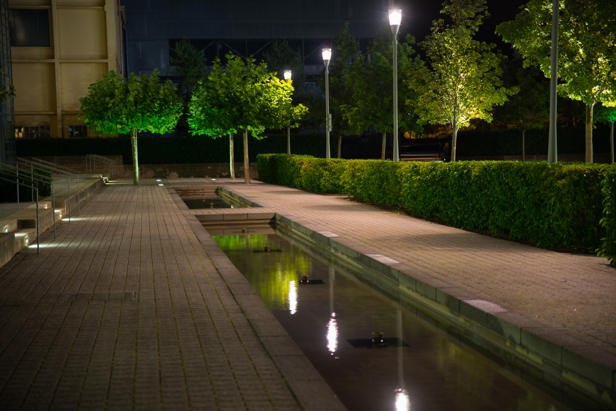 Sigma 24-70mm F2.8 EX DG HSM sample photo. Elly russell photography