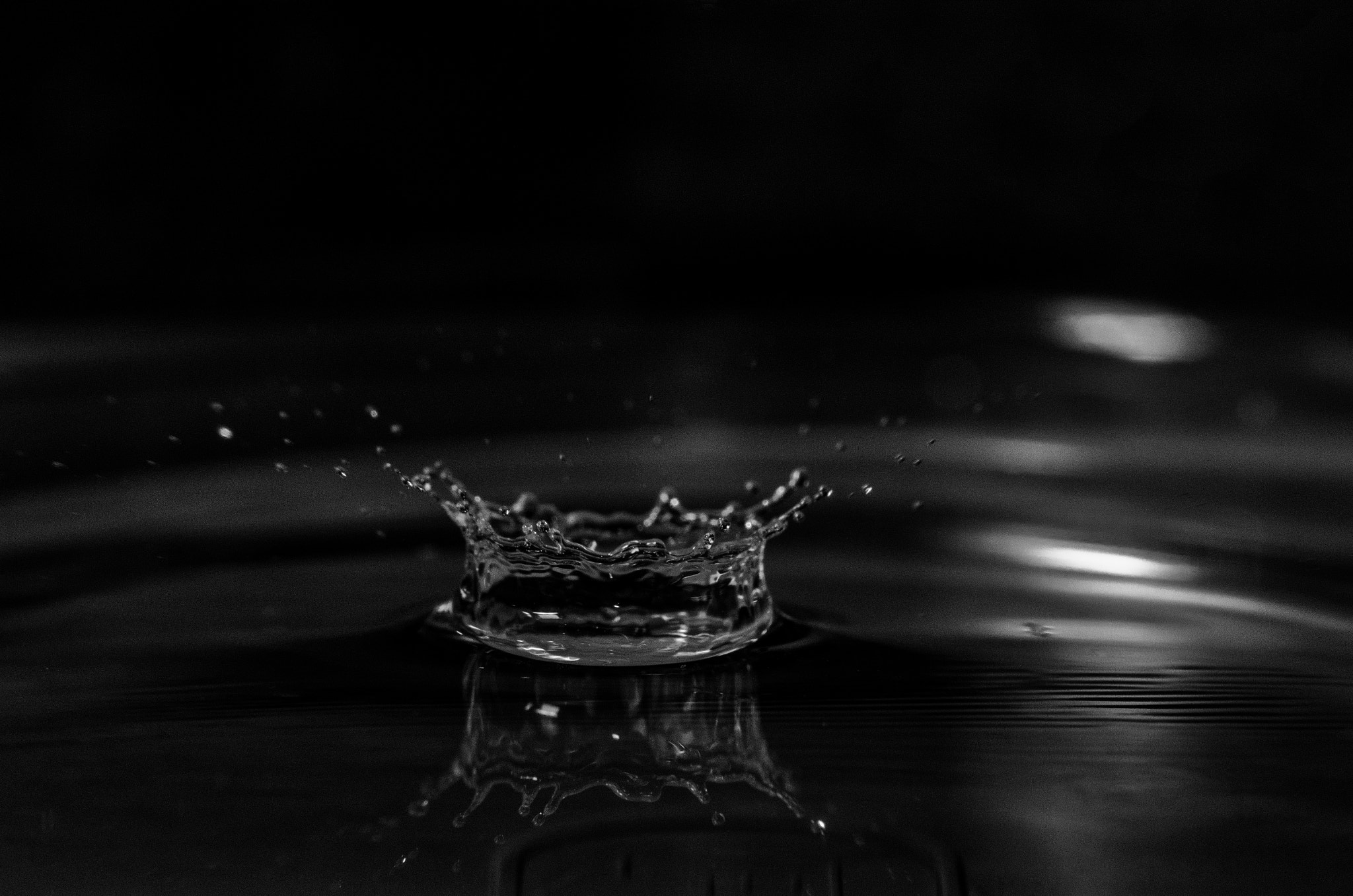 Tokina AT-X Pro 100mm F2.8 Macro sample photo. Crown photography