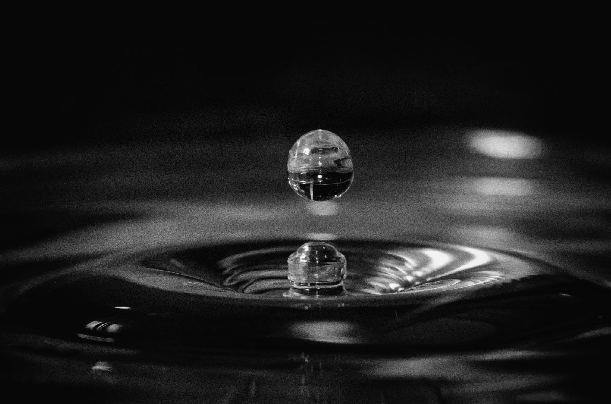 Tokina AT-X Pro 100mm F2.8 Macro sample photo. Perfect symmetry photography