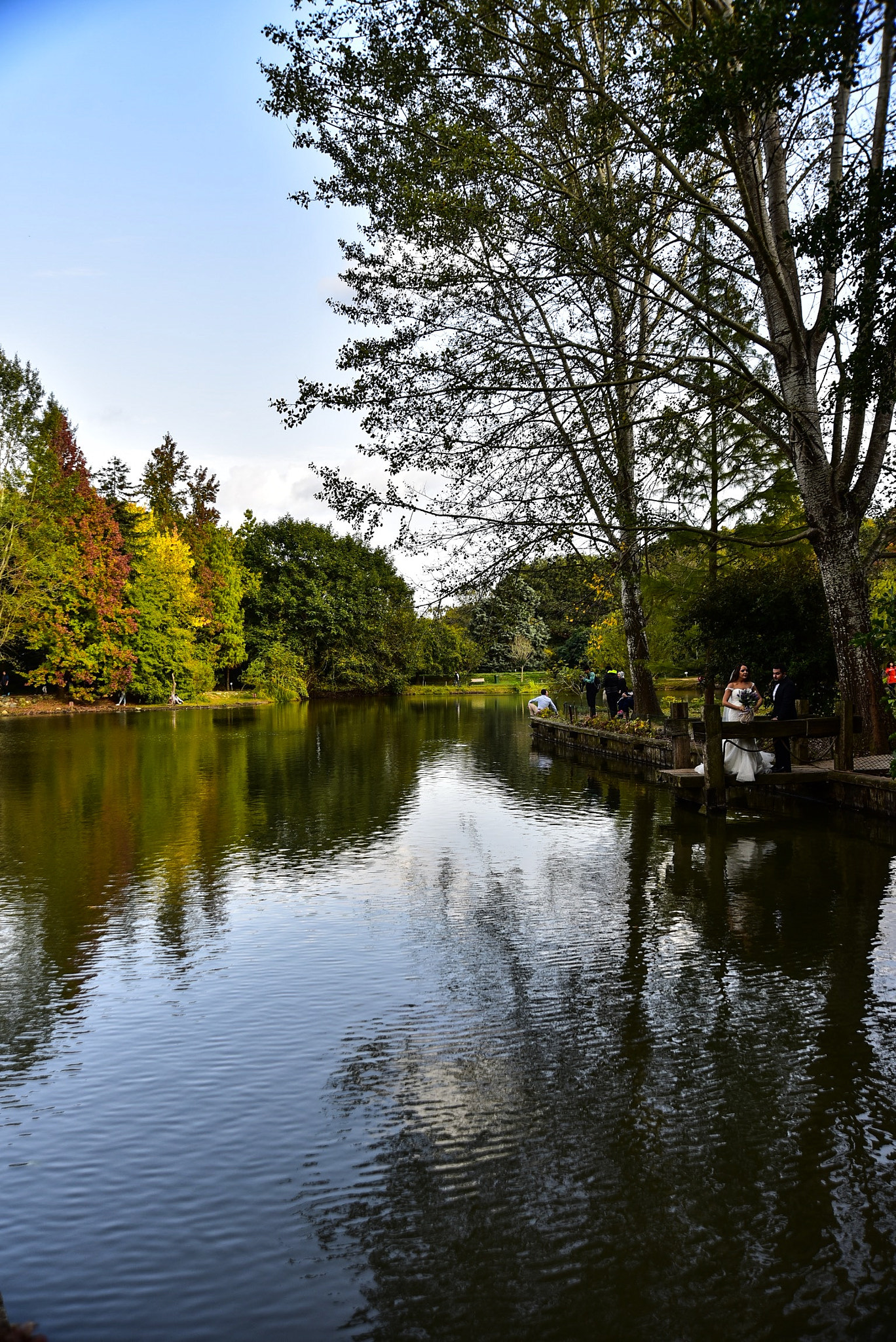 Nikon AF Nikkor 24-85mm F2.8-4D IF sample photo. Atatürk arboretum, İstanbul, turkey photography