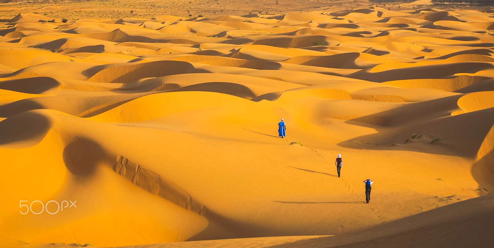 Canon EF 100-400mm F4.5-5.6L IS USM sample photo. Walk in the desert photography