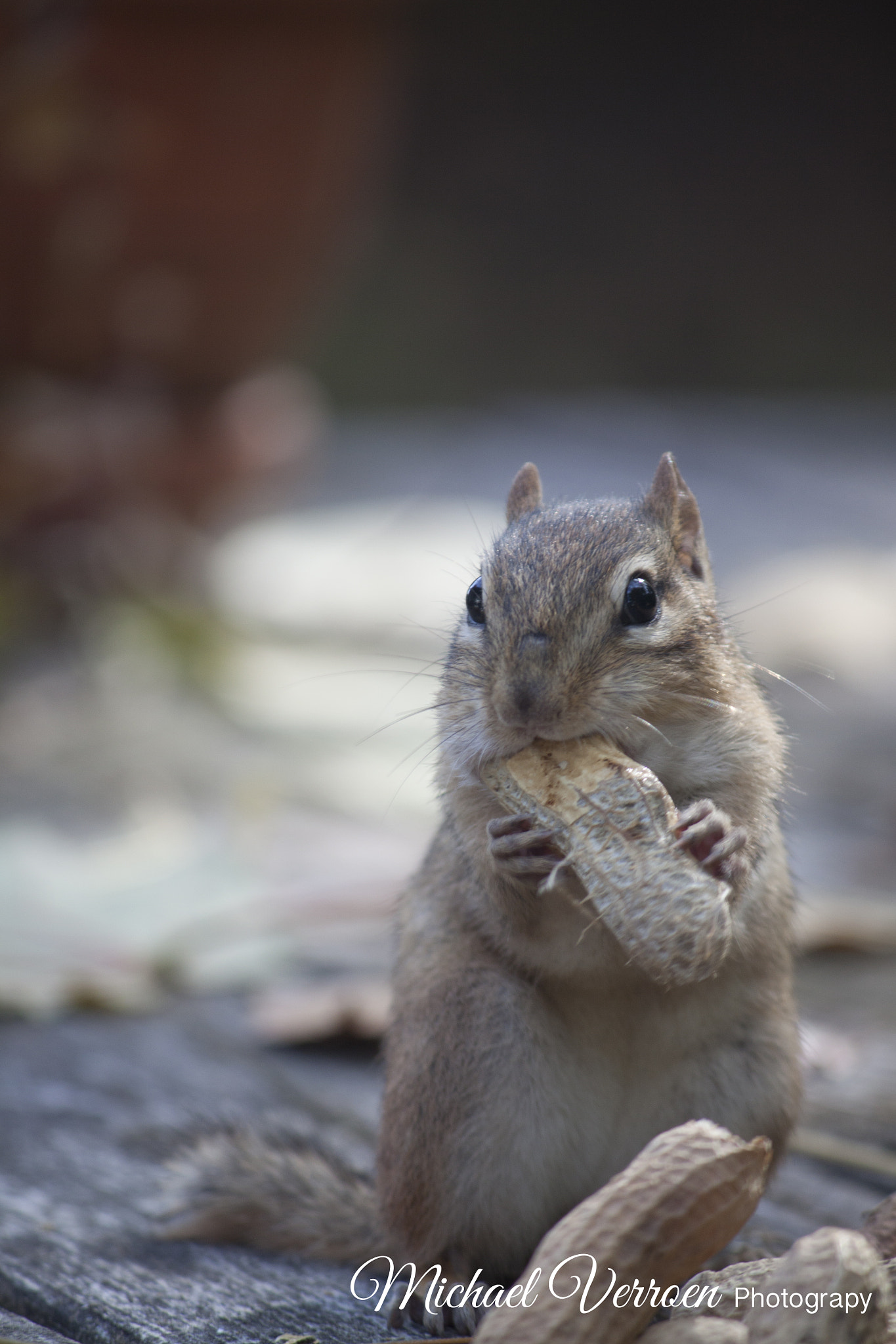 Canon EF-S 55-250mm F4-5.6 IS sample photo. What i got photography
