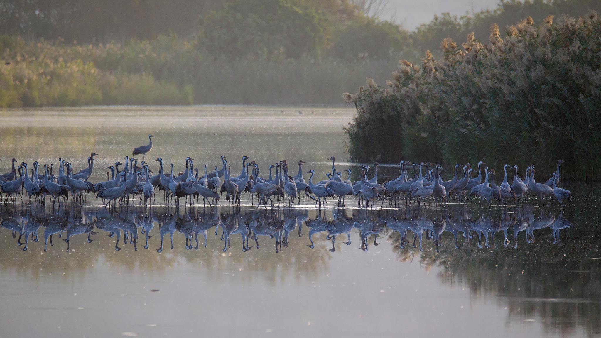Canon EOS-1D Mark IV sample photo. Morning landscape photography