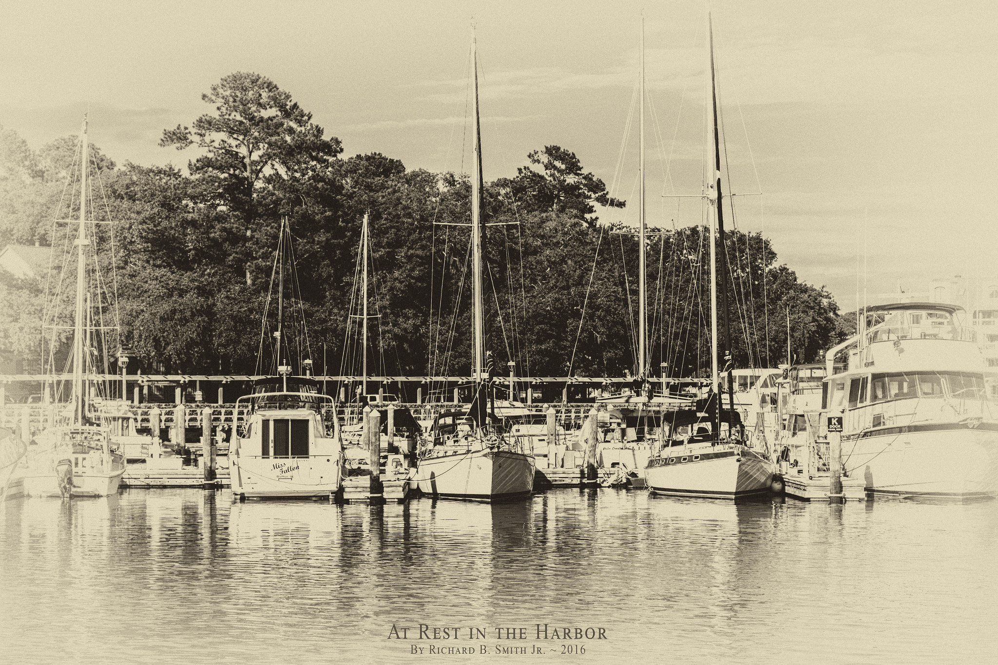 Canon EF-S 60mm F2.8 Macro USM sample photo. The harbor photography