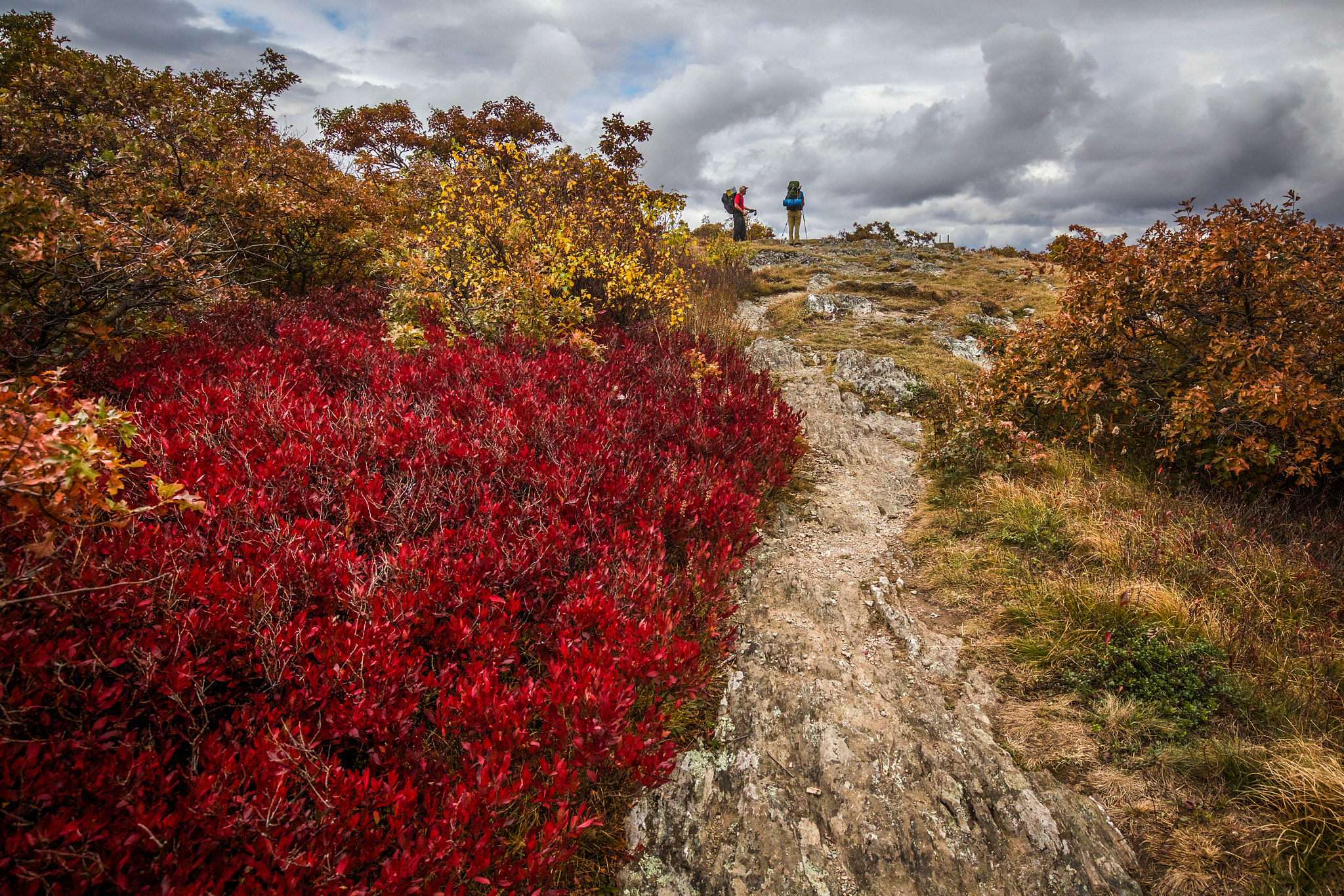 Canon EOS 6D + Canon EF 16-35mm F4L IS USM sample photo. New england hike photography