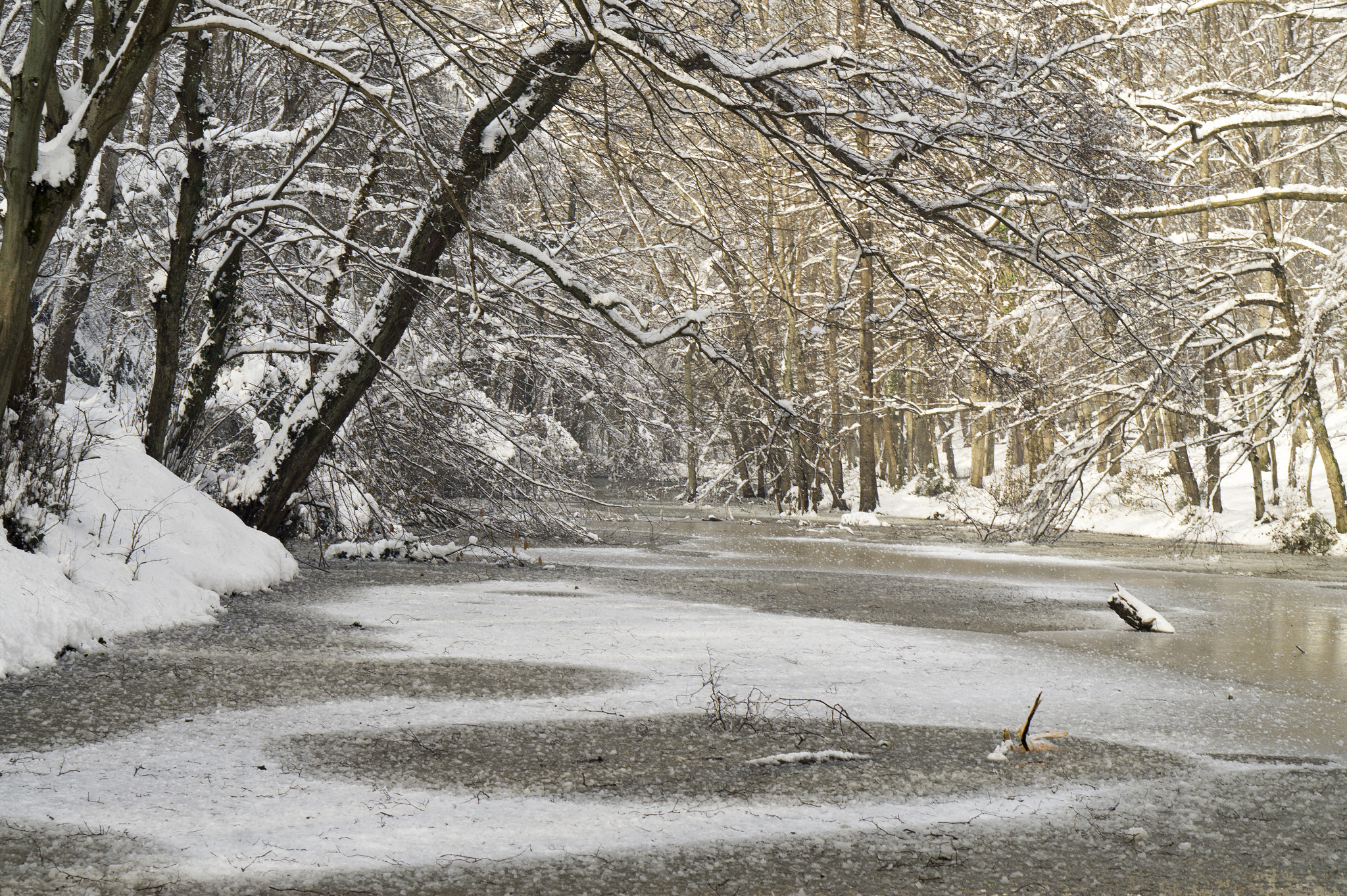 Sony Alpha a5000 (ILCE 5000) + E 50mm F1.8 OSS sample photo. Winter is coming, but its ok photography