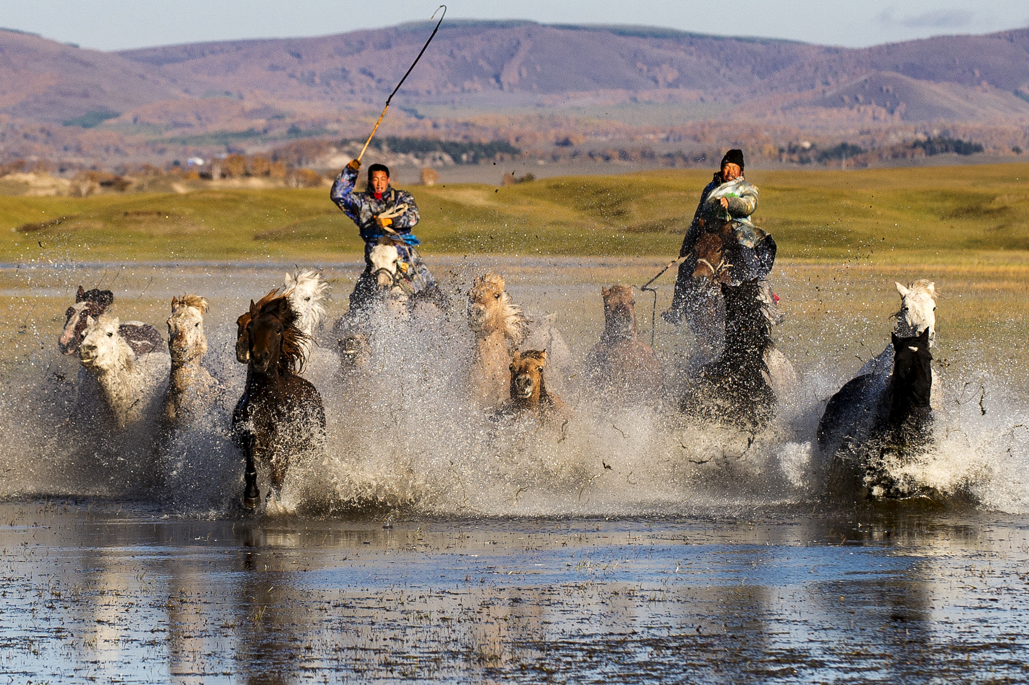 Nikon D4S sample photo. Horse photography
