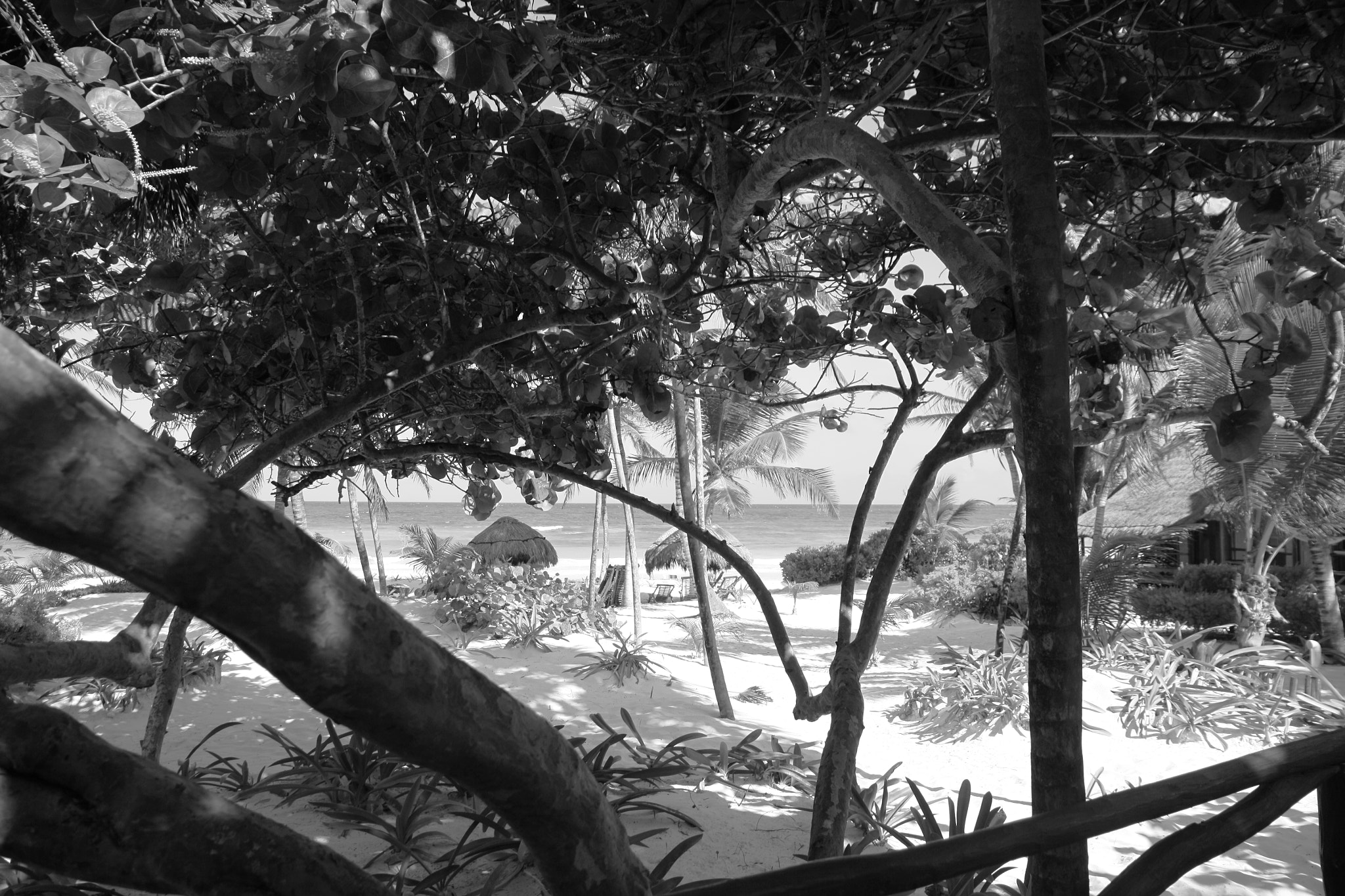 Canon EOS 50D sample photo