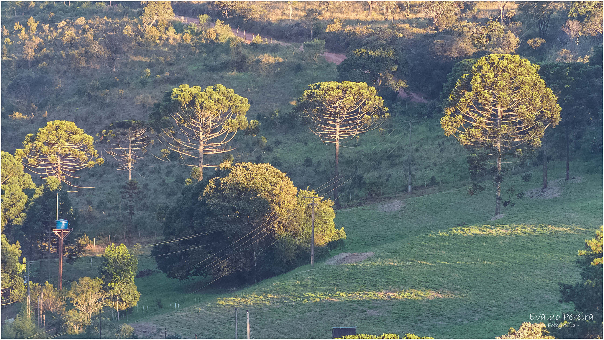 Canon EF 75-300mm f/4-5.6 USM sample photo. Fazenda photography