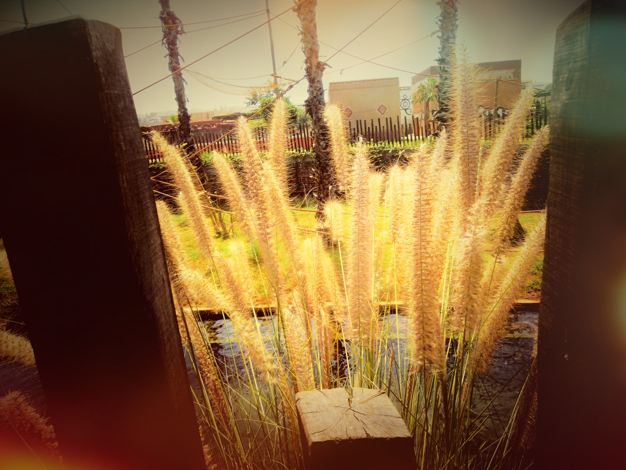 Samsung ST65 sample photo