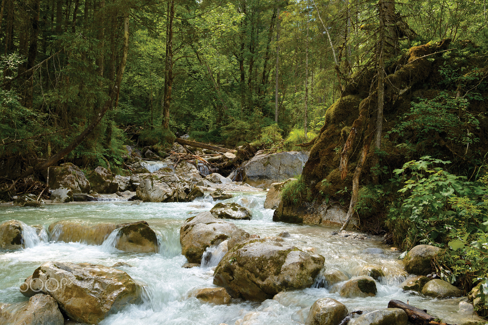 Nikon AF-S Nikkor 17-35mm F2.8D ED-IF sample photo. Creek in a wild thicket photography