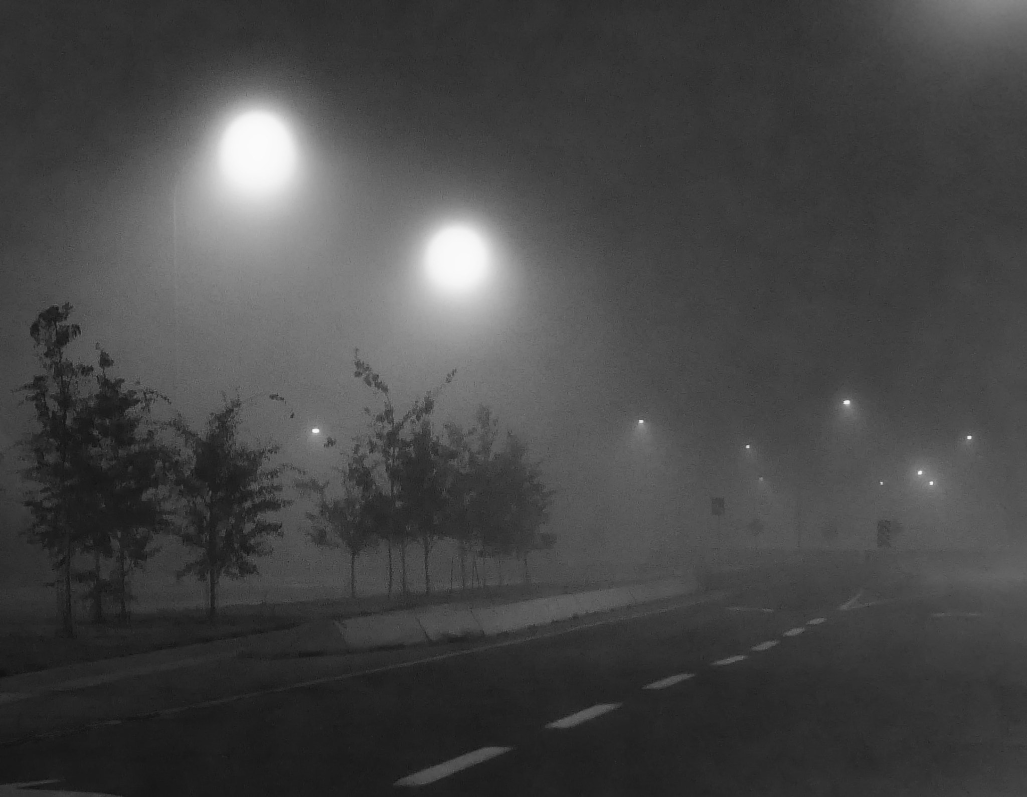 Panasonic Lumix DMC-GH4 sample photo. Fall ice fog photography