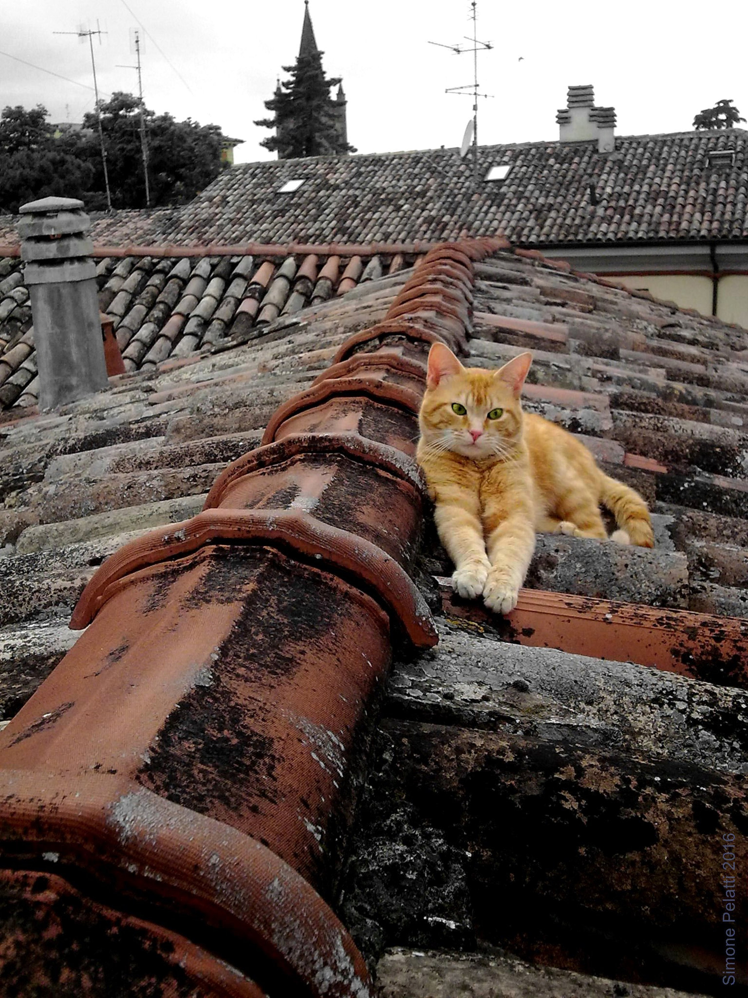 Nokia N78 sample photo. Rest on the roof photography