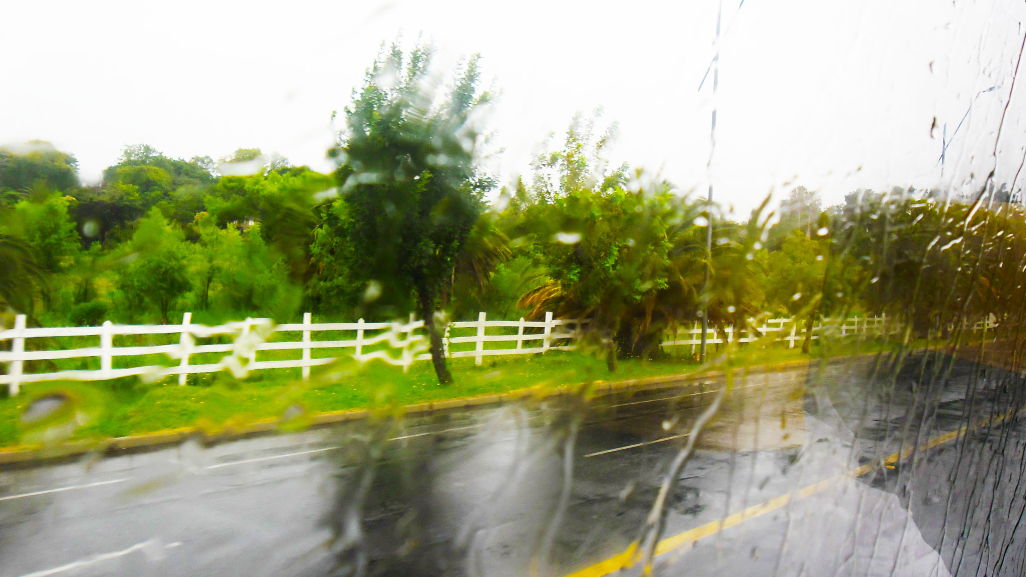 Samsung ES80/ ES81 sample photo. 6.jpg photography