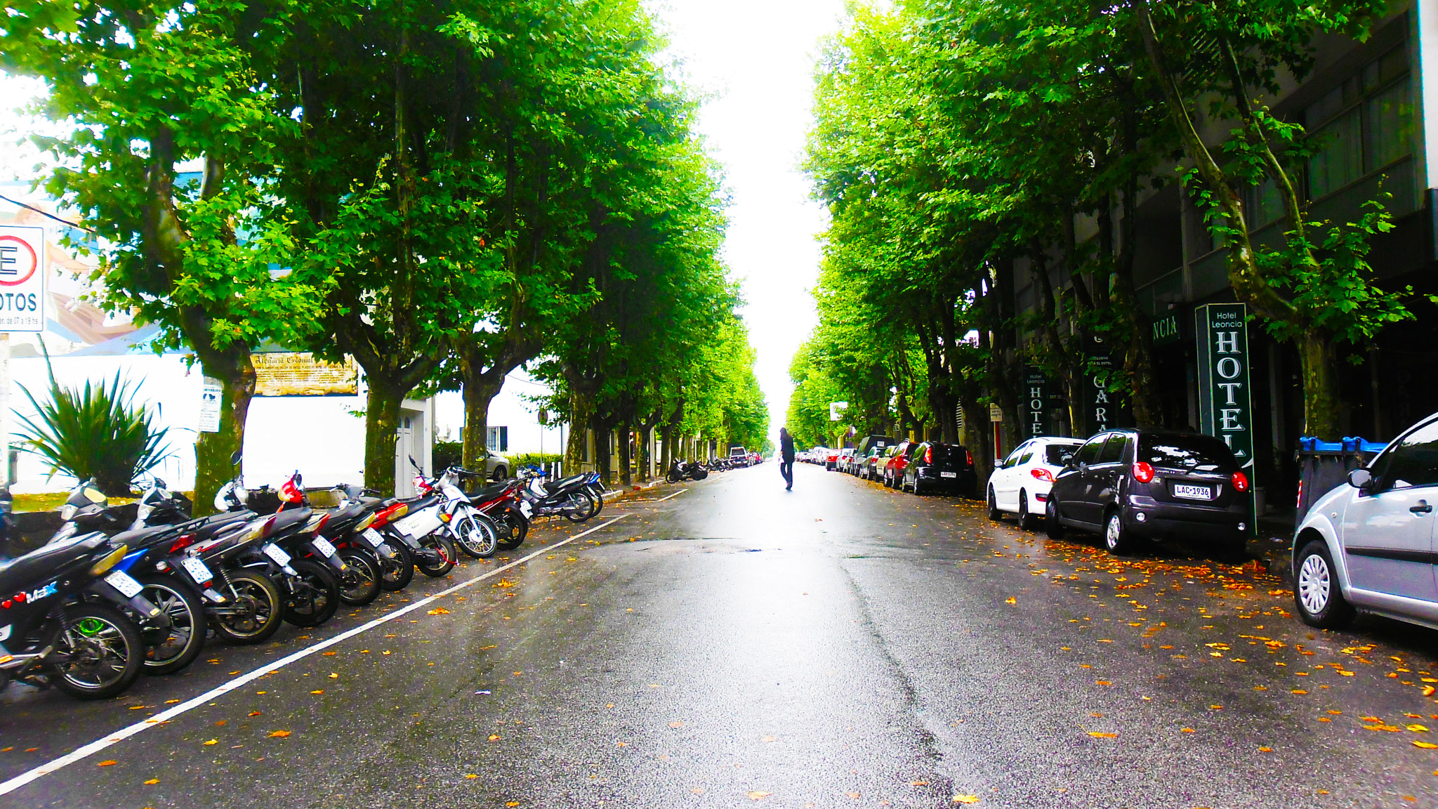 Samsung ES80/ ES81 sample photo. 19.jpg photography