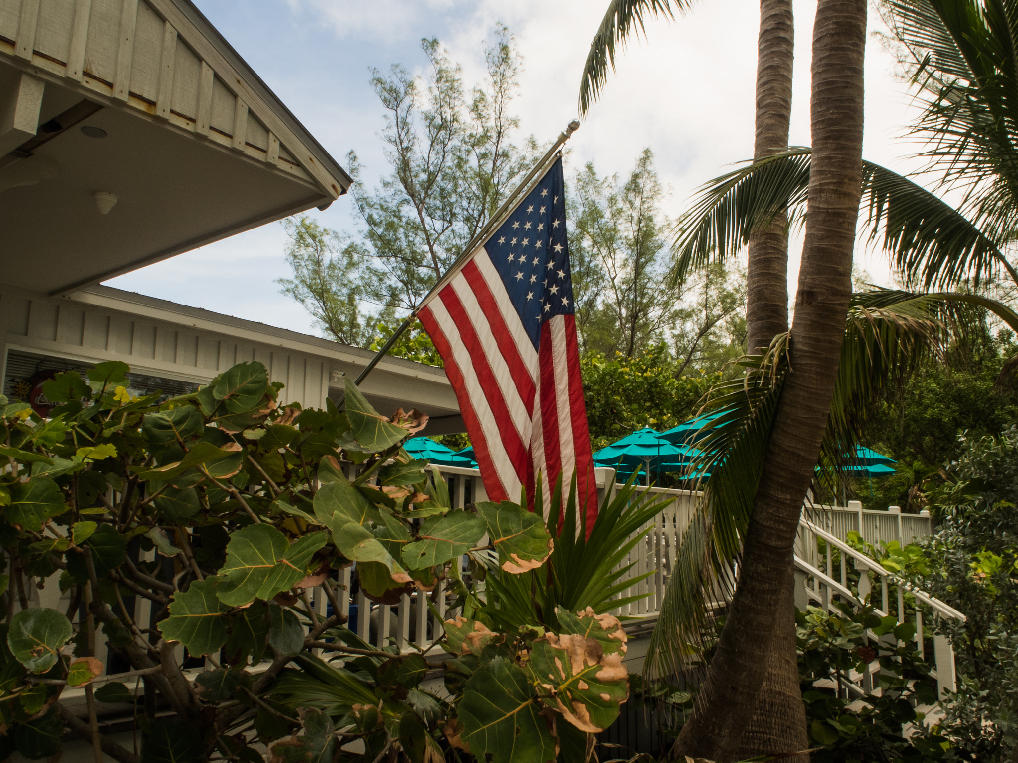 Olympus M.Zuiko Digital ED 14-42mm F3.5-5.6 EZ sample photo. Key west photography