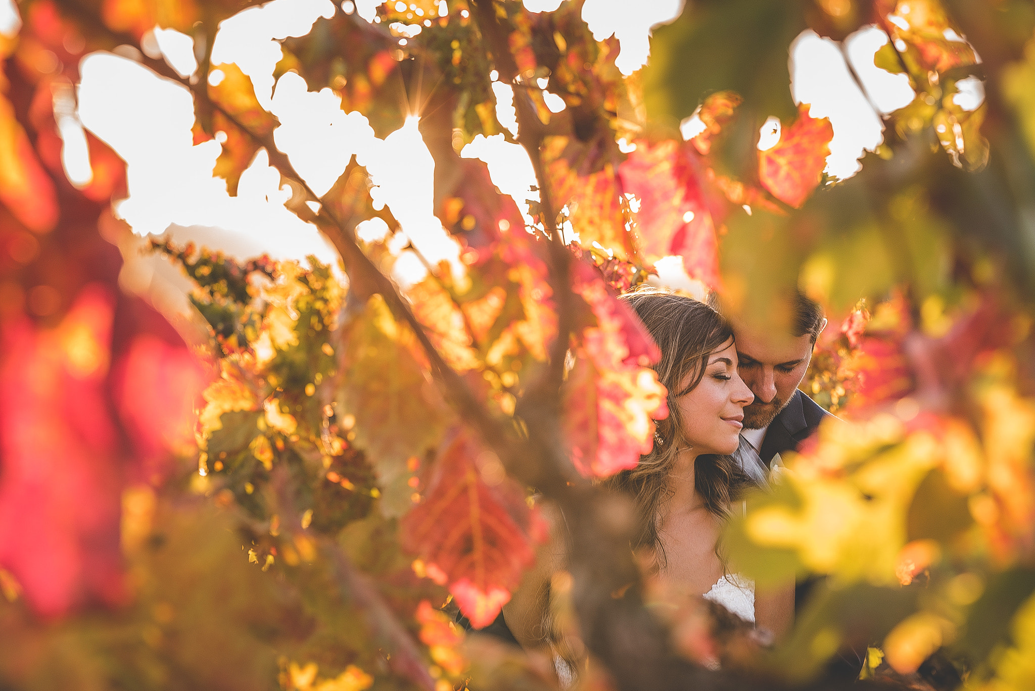 Sony a7S + Sony 70-400mm F4-5.6 G SSM sample photo. Vineyard wedding picture photography