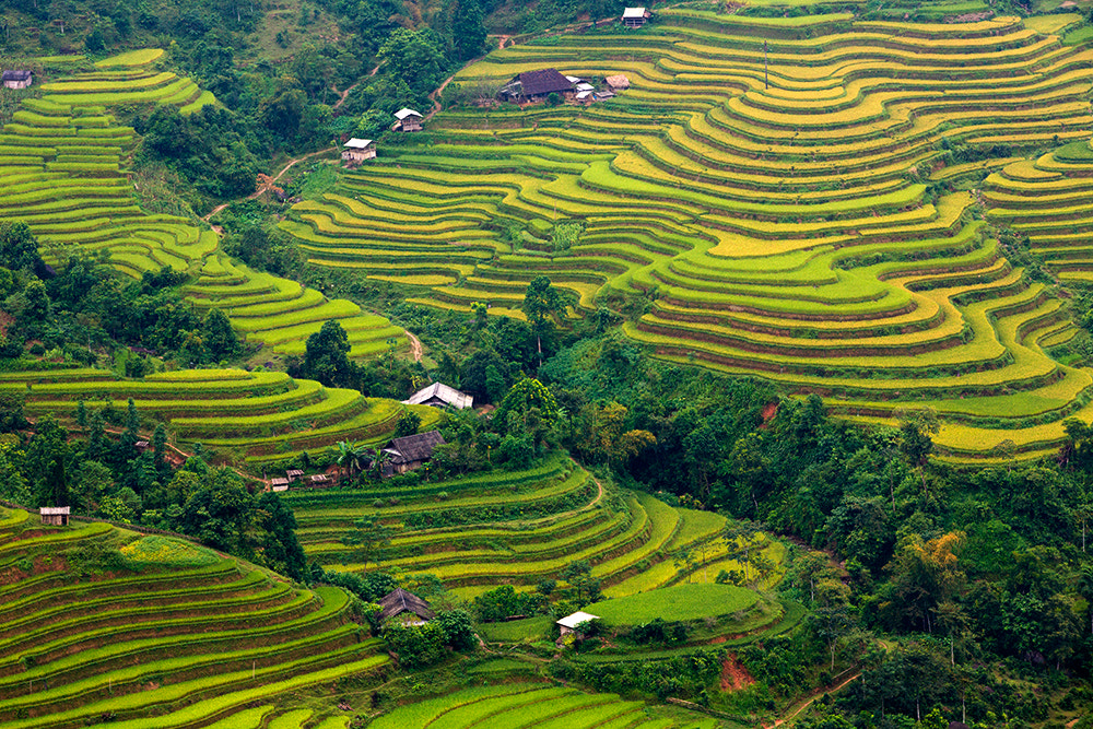 Hoang Su Phi by Viet Hung / 500px