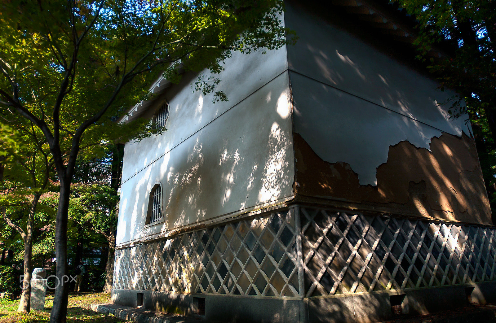 Nikon D1X sample photo. 30279167822  kura photography