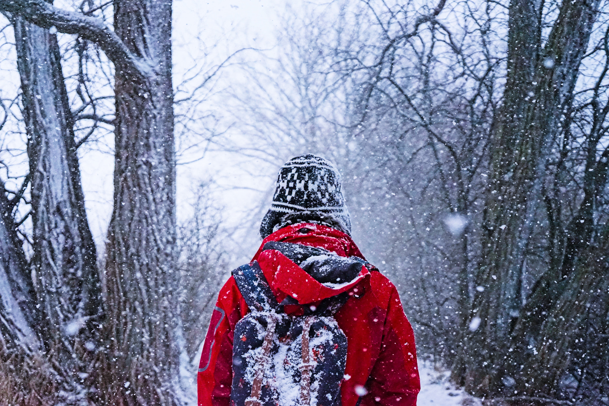 Sony a7 II + Sony Vario Tessar T* FE 24-70mm F4 ZA OSS sample photo. Snow man photography