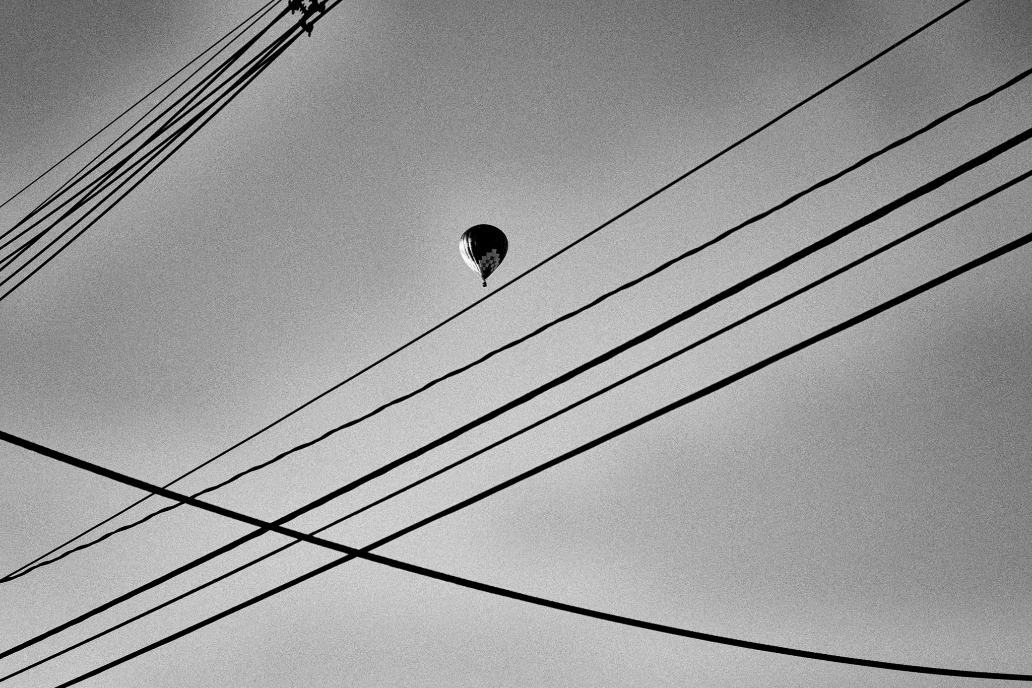 Nikon D5 sample photo. Interruption 2 photography