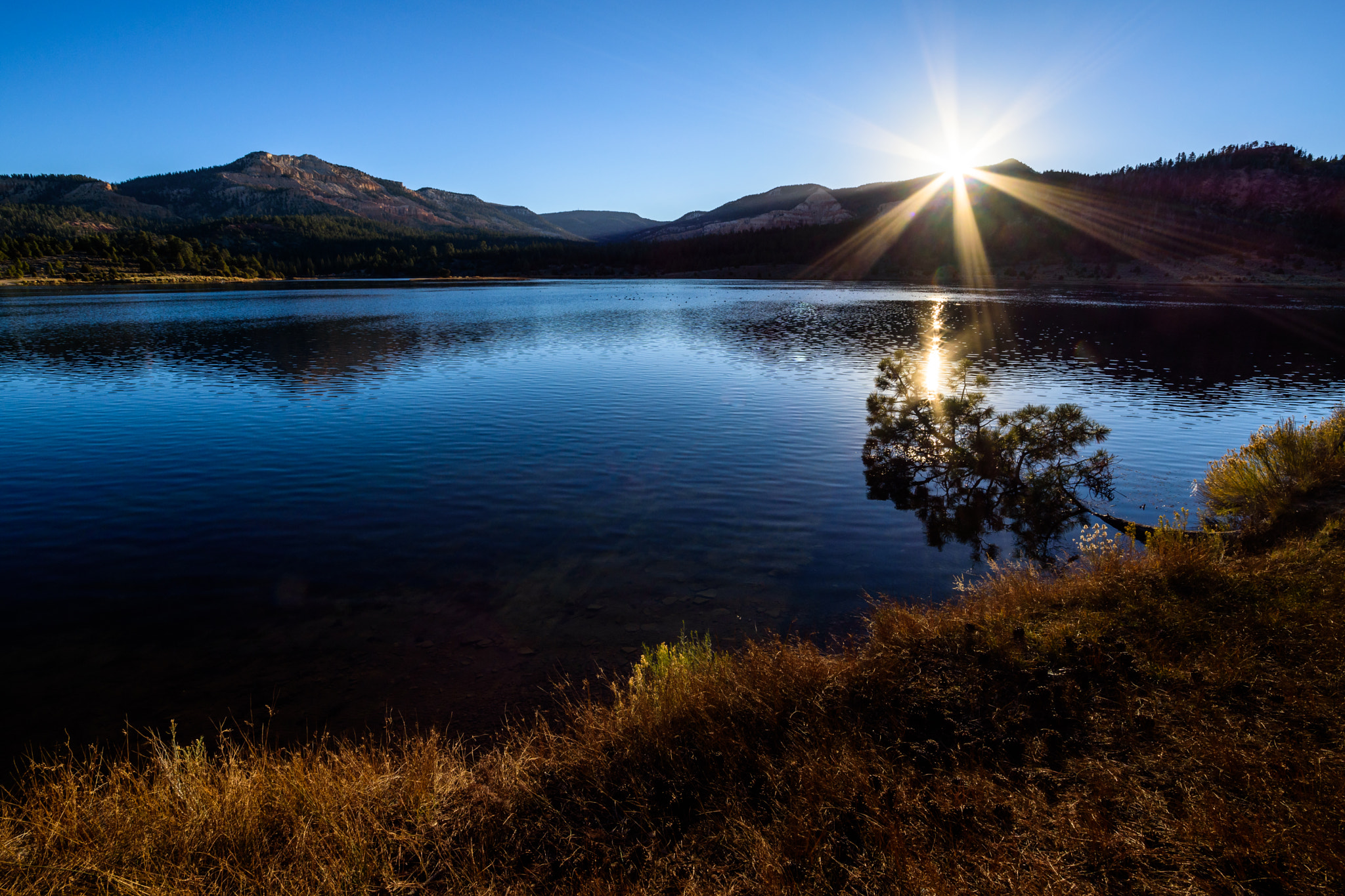 Samyang 14mm F2.8 ED AS IF UMC sample photo. Sunrise at pine lake photography