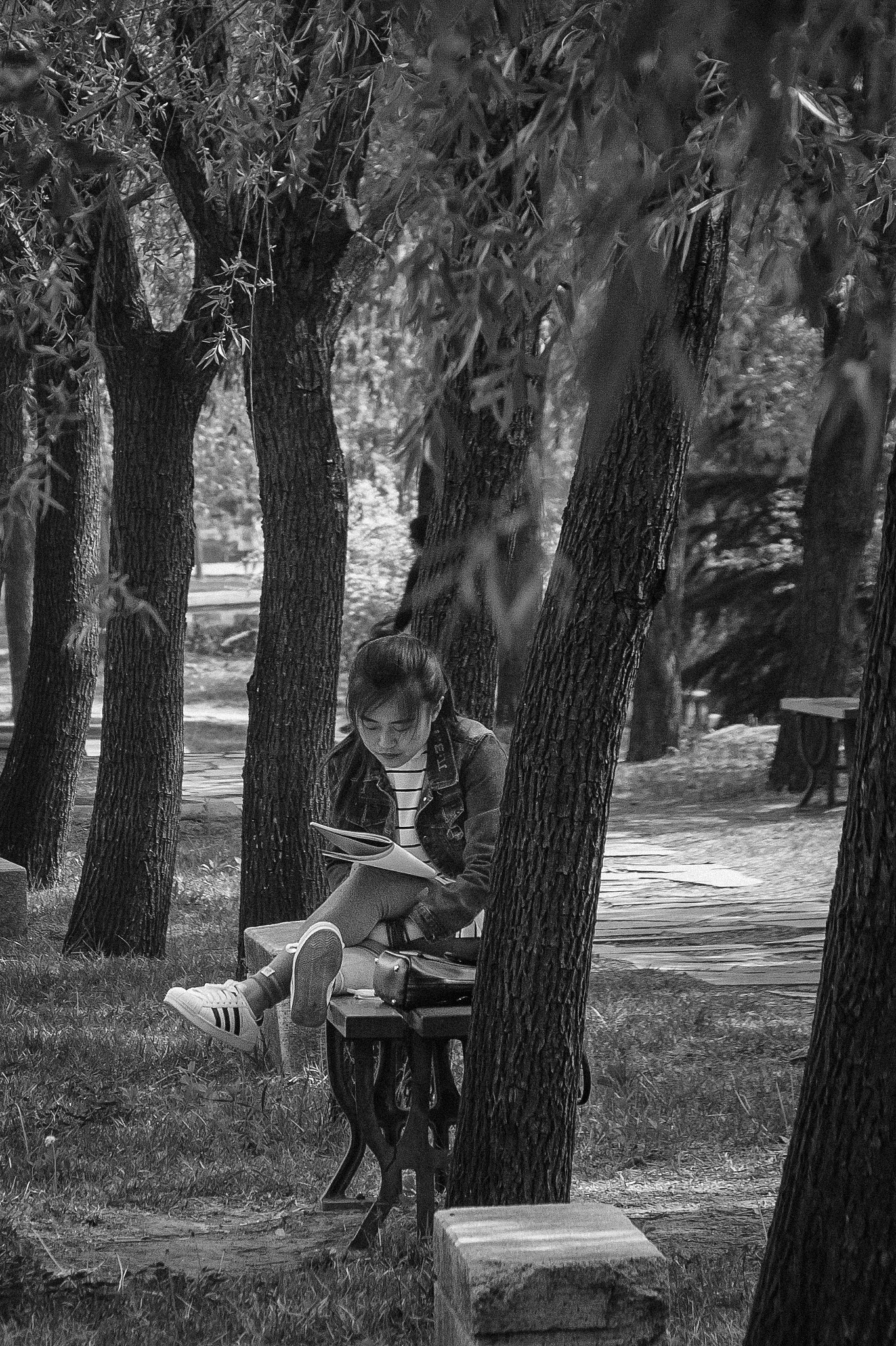 Canon EF-S 18-200mm F3.5-5.6 IS sample photo. Reading under the trees photography