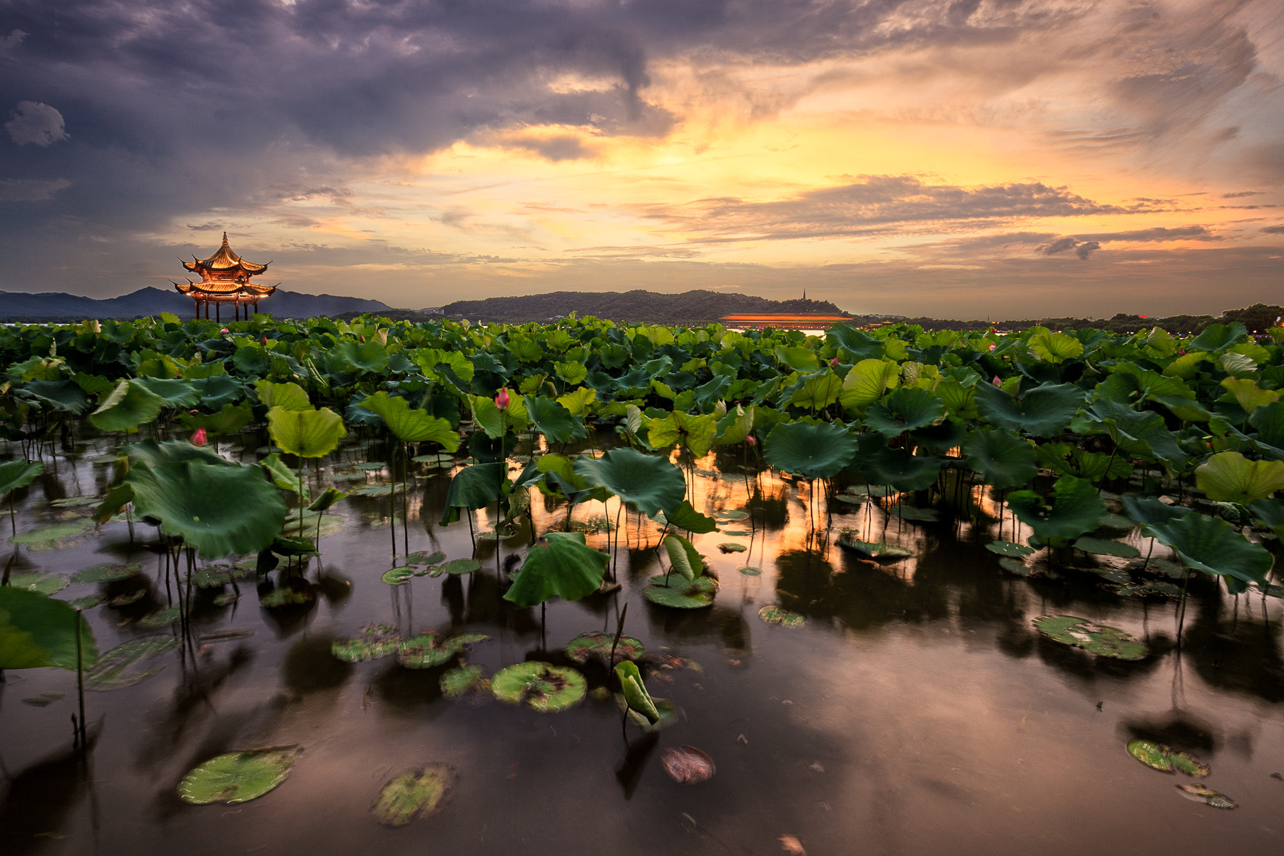 Canon EOS 5D Mark II + Canon EF 16-35mm F4L IS USM sample photo