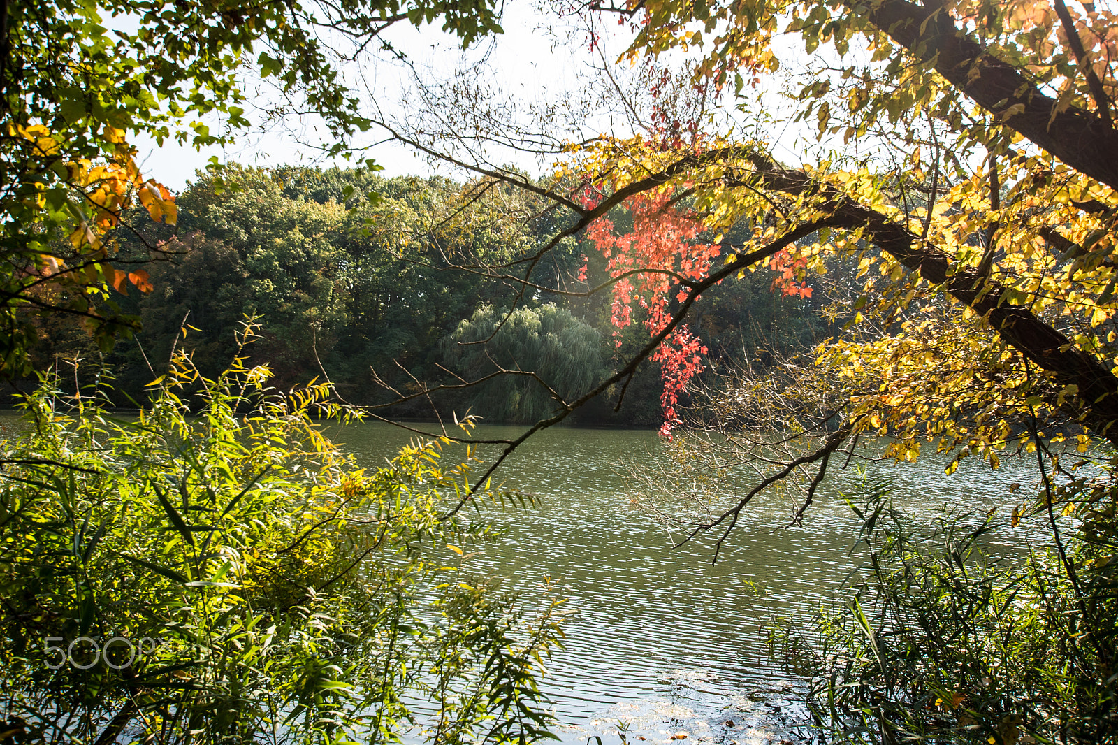 Nikon D610 + Sigma 10-20mm F3.5 EX DC HSM sample photo. Break photography