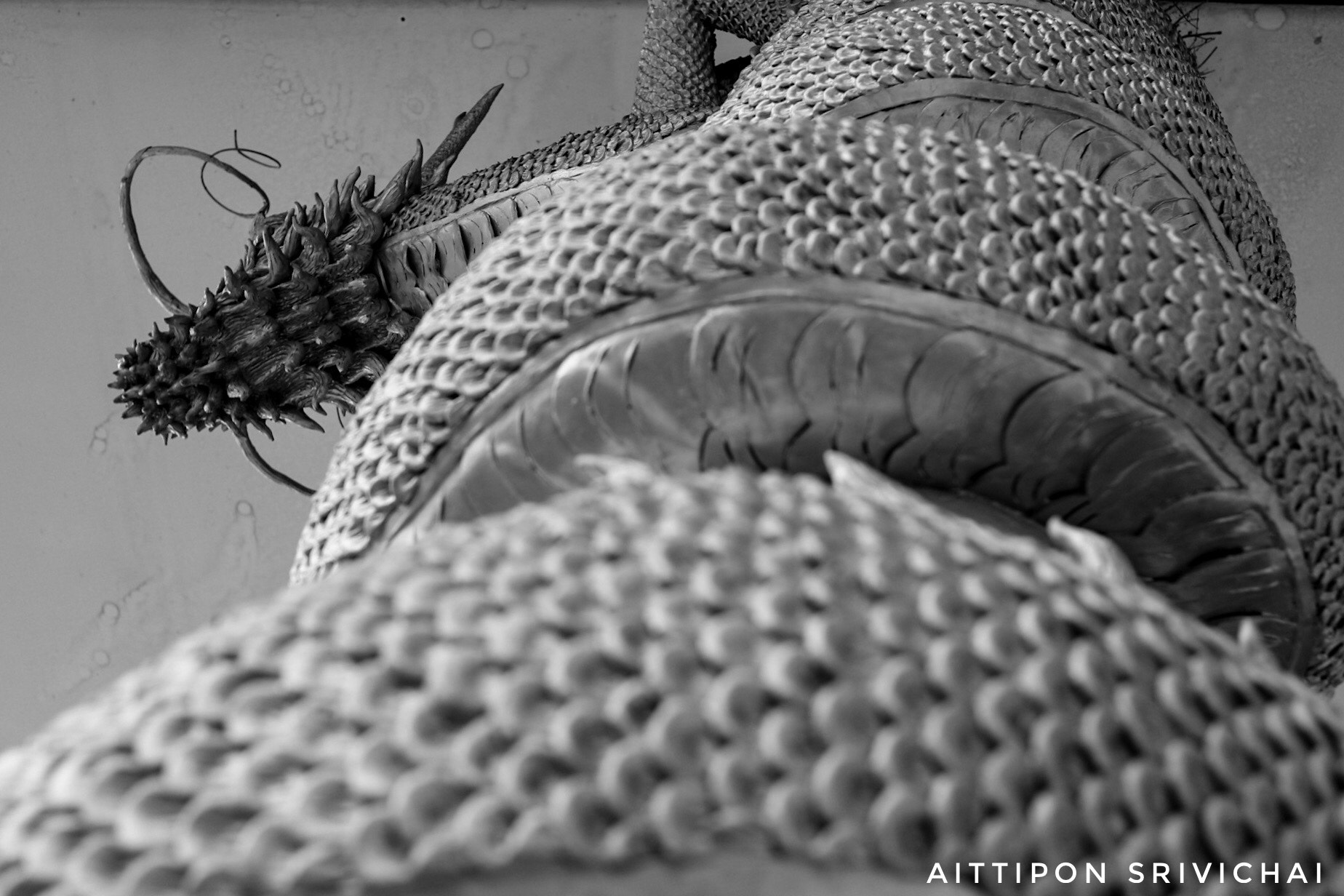 Canon EF-M 22mm F2 STM sample photo