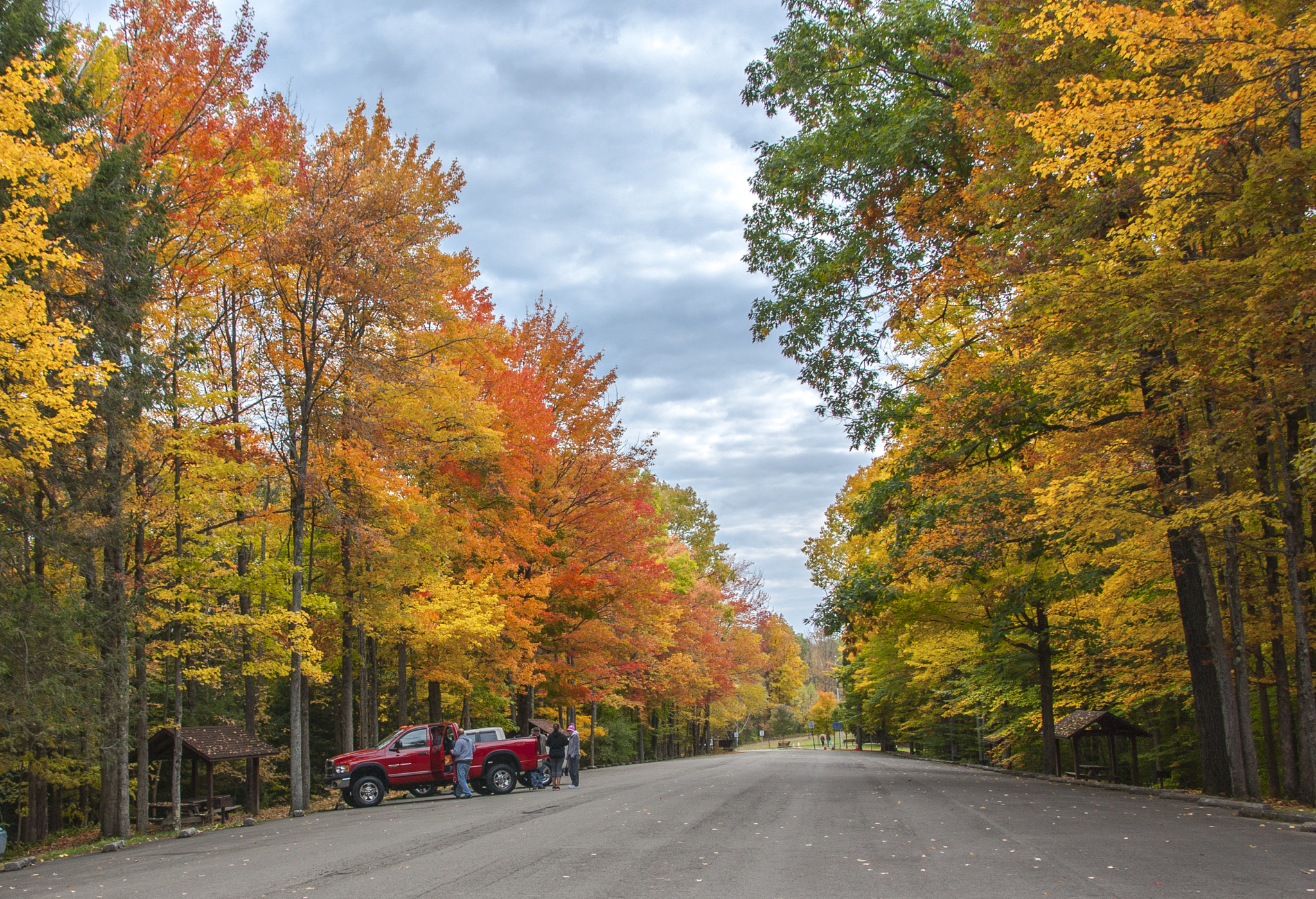 Sony DT 18-250mm F3.5-6.3 sample photo. Colorful seasons photography